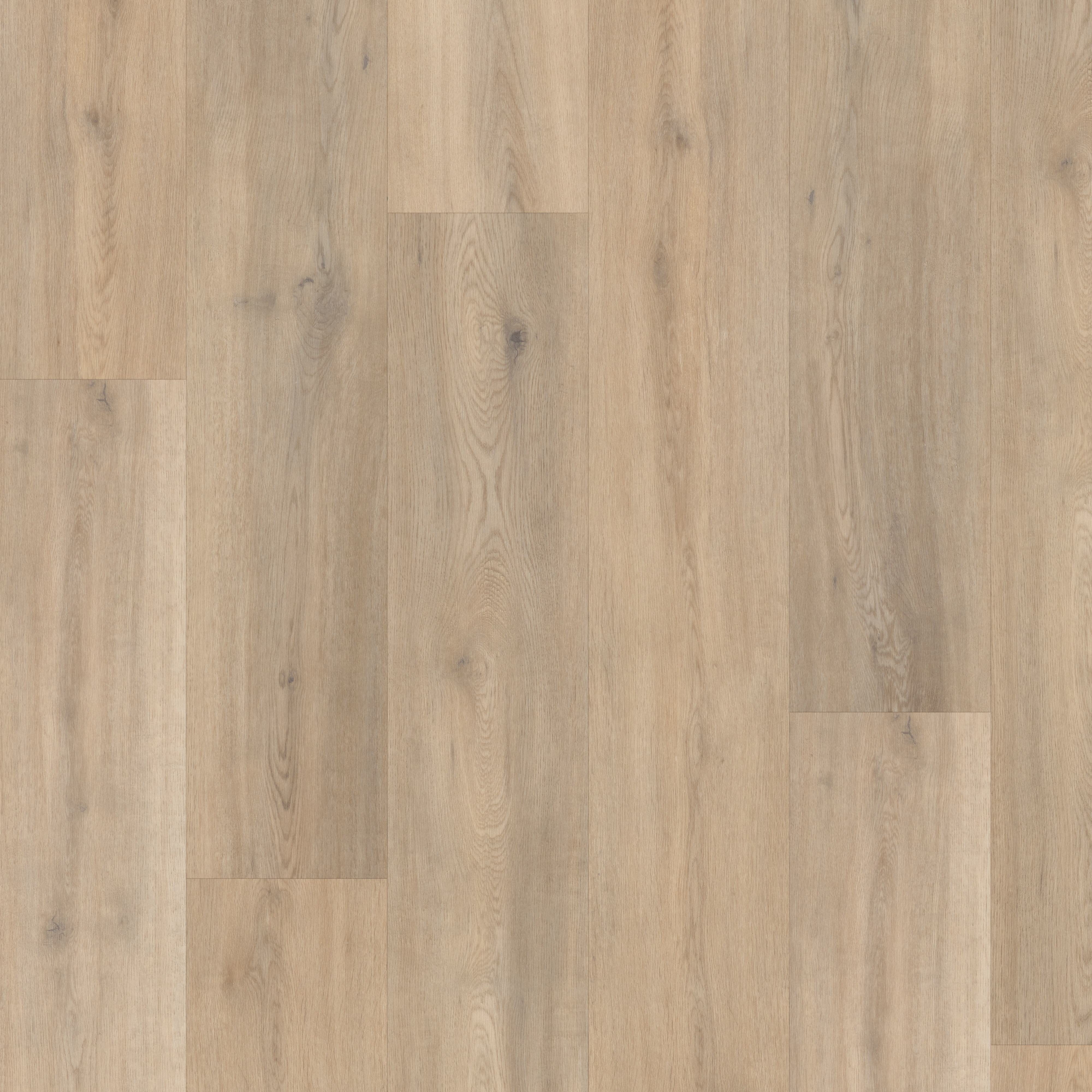 LVT Naked Blond Oak  swatch