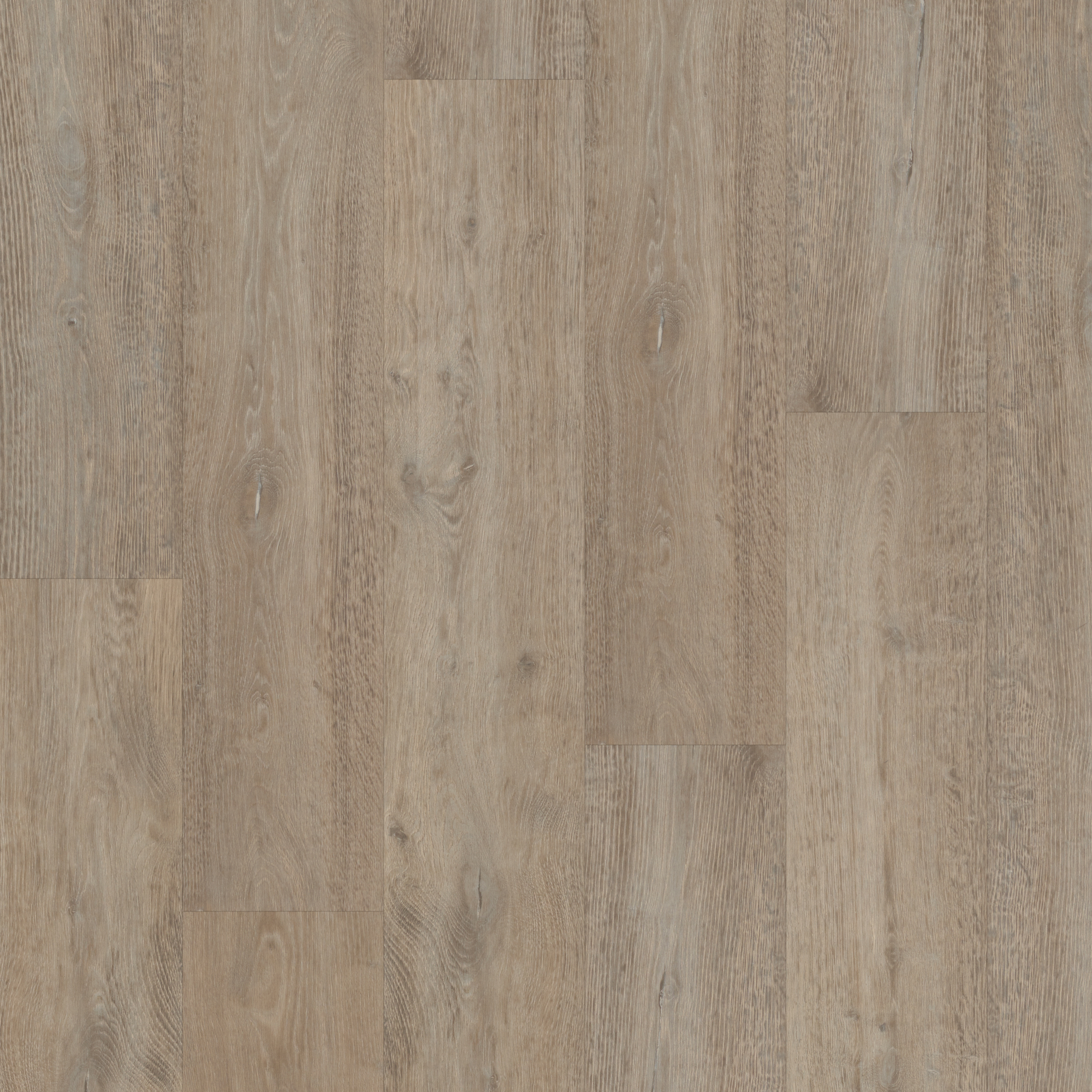 SPC Fenland Oak swatch