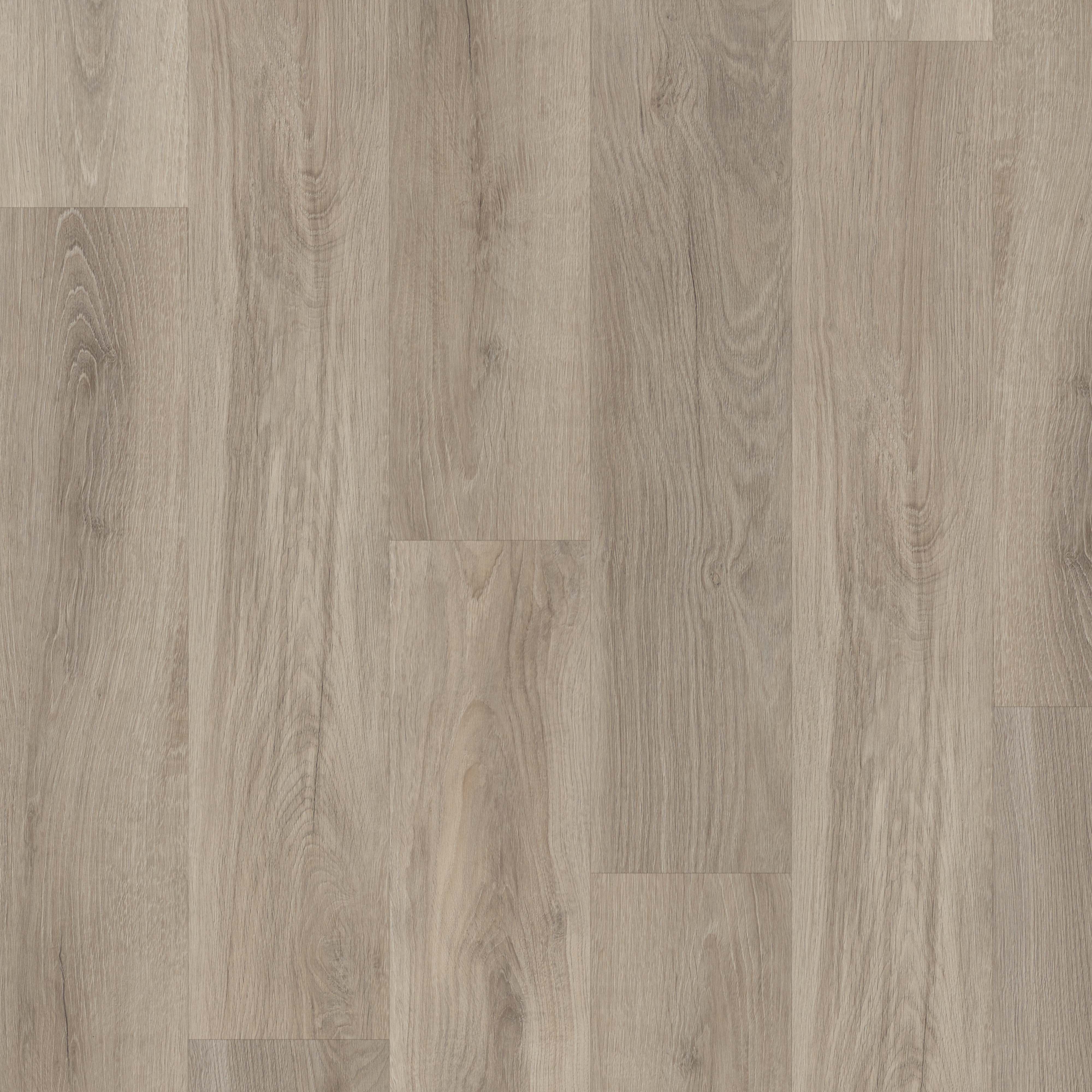 SPC Waterside Oak swatch