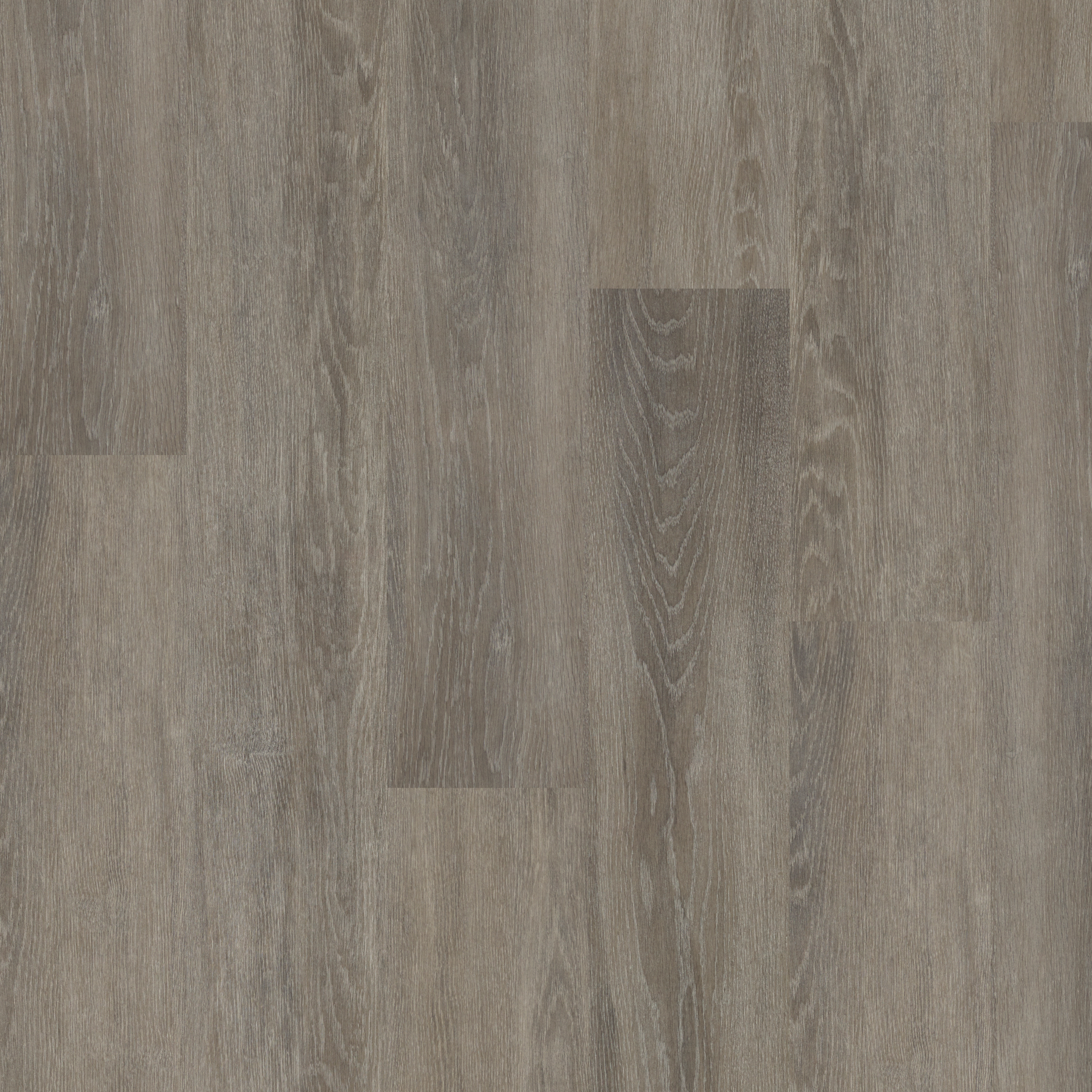 LVT Bayswater Oak  swatch