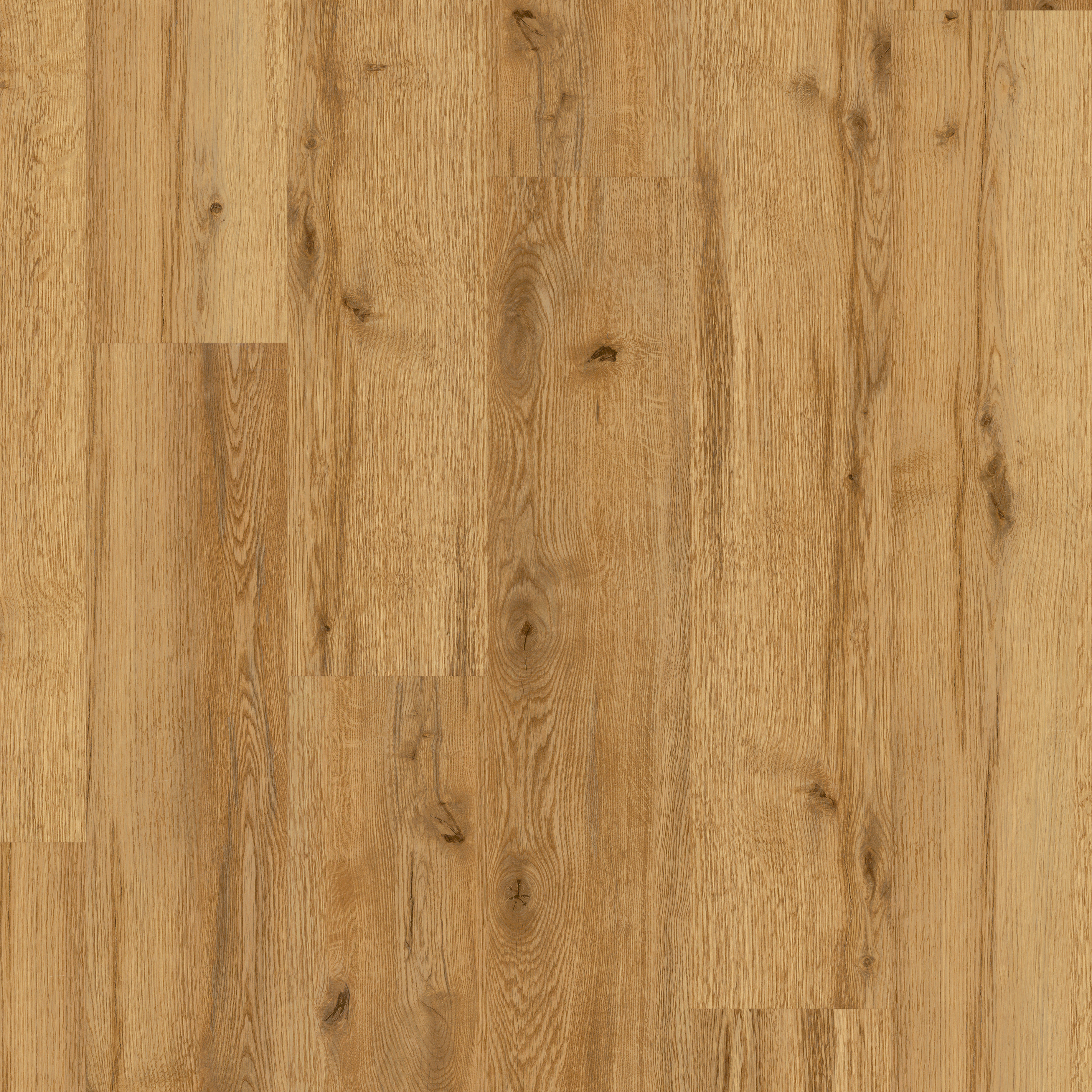 LVT Sherwood Oak swatch