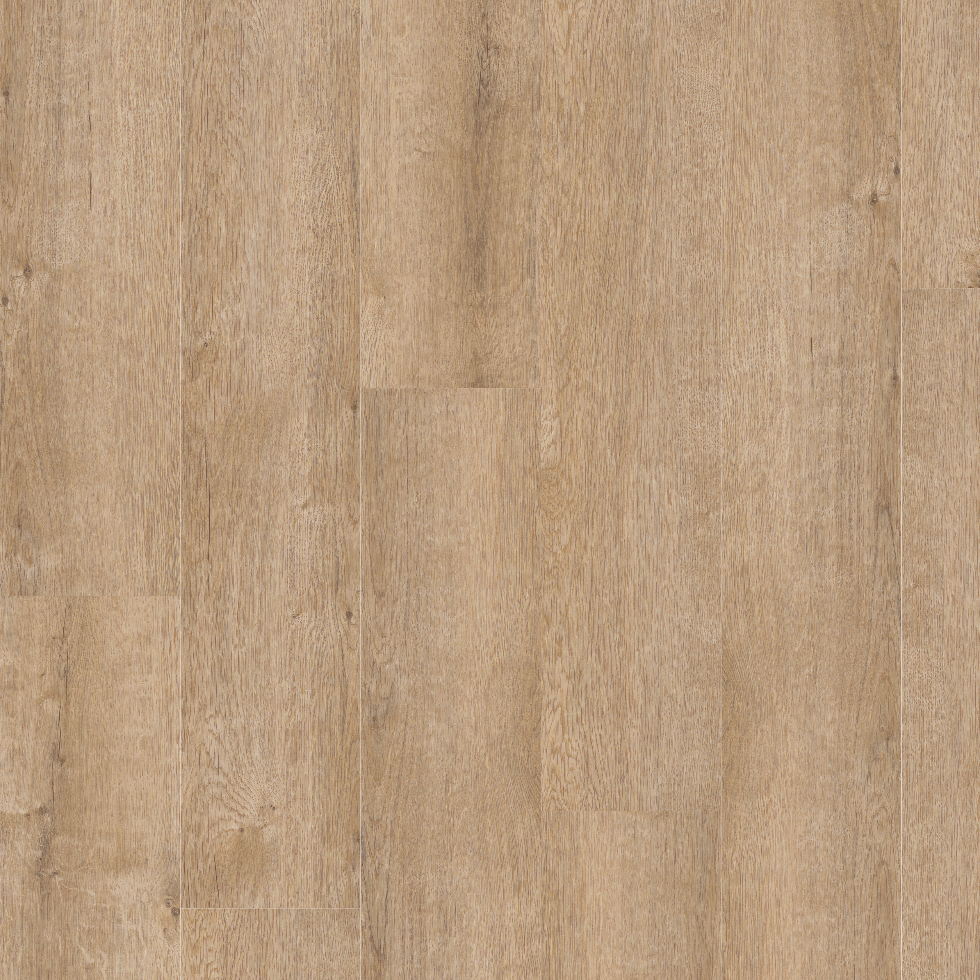 LVT Cashmere Oak swatch