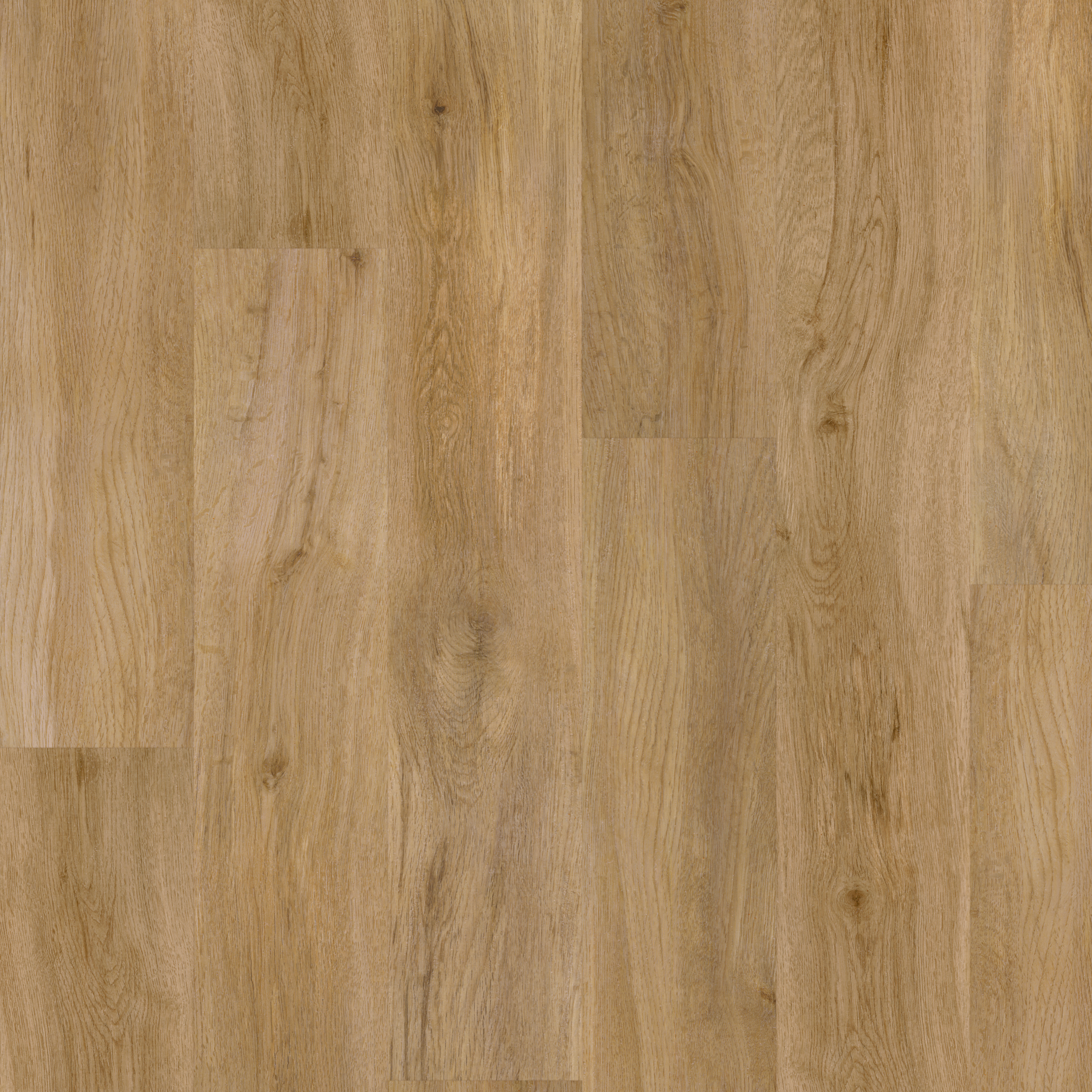 SPC Evergreen Oak swatch