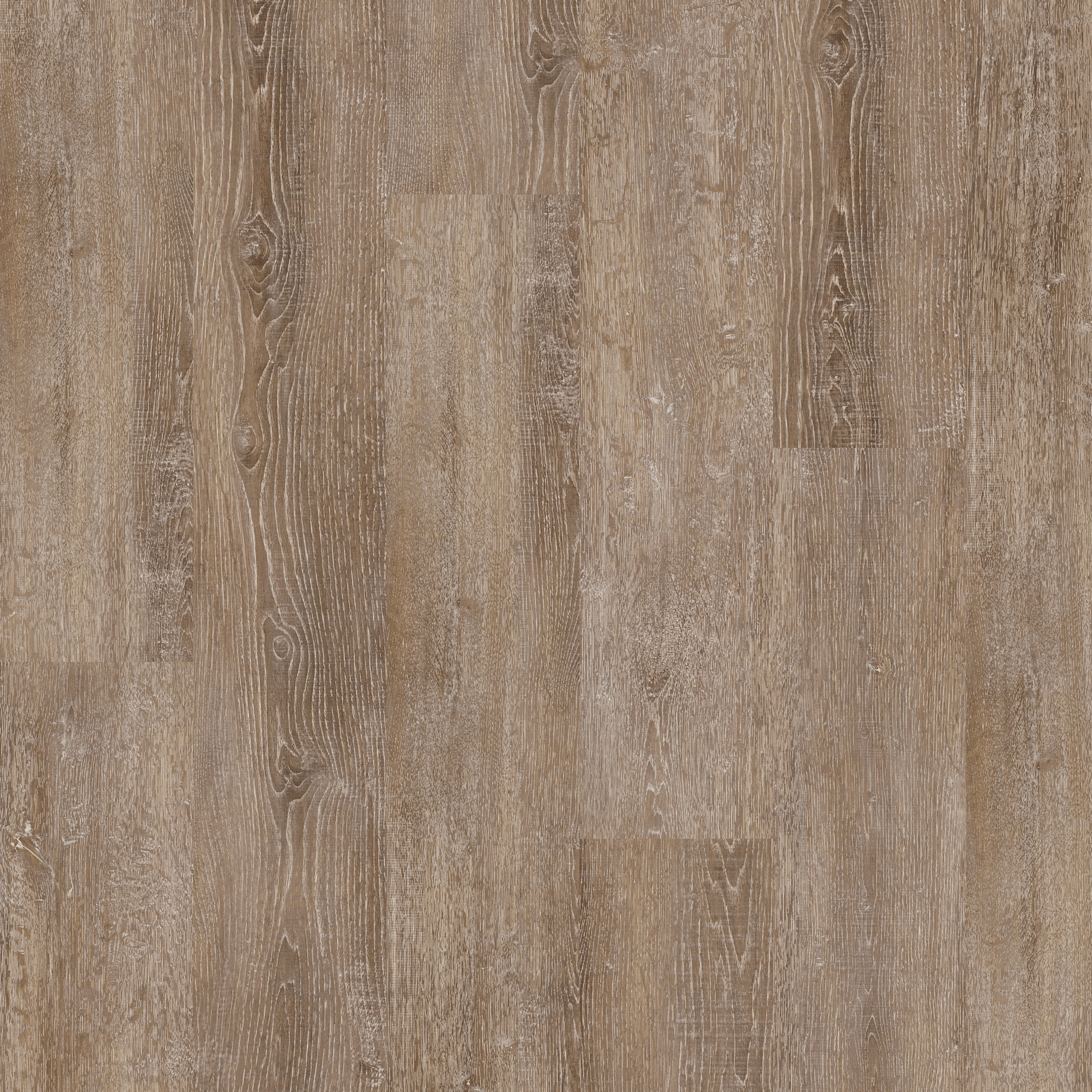 LVT Tan Limed Oak swatch