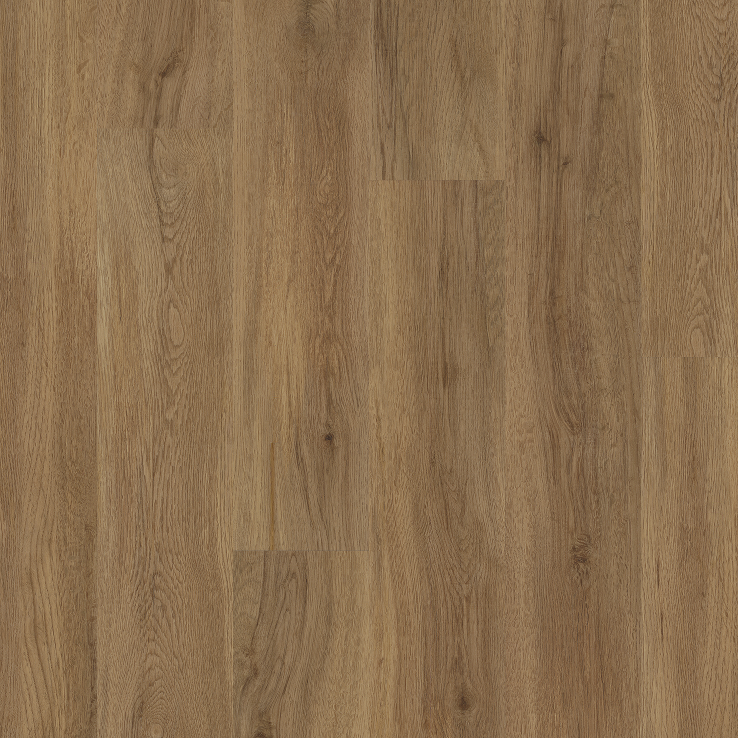 LVT Botanic Oak swatch