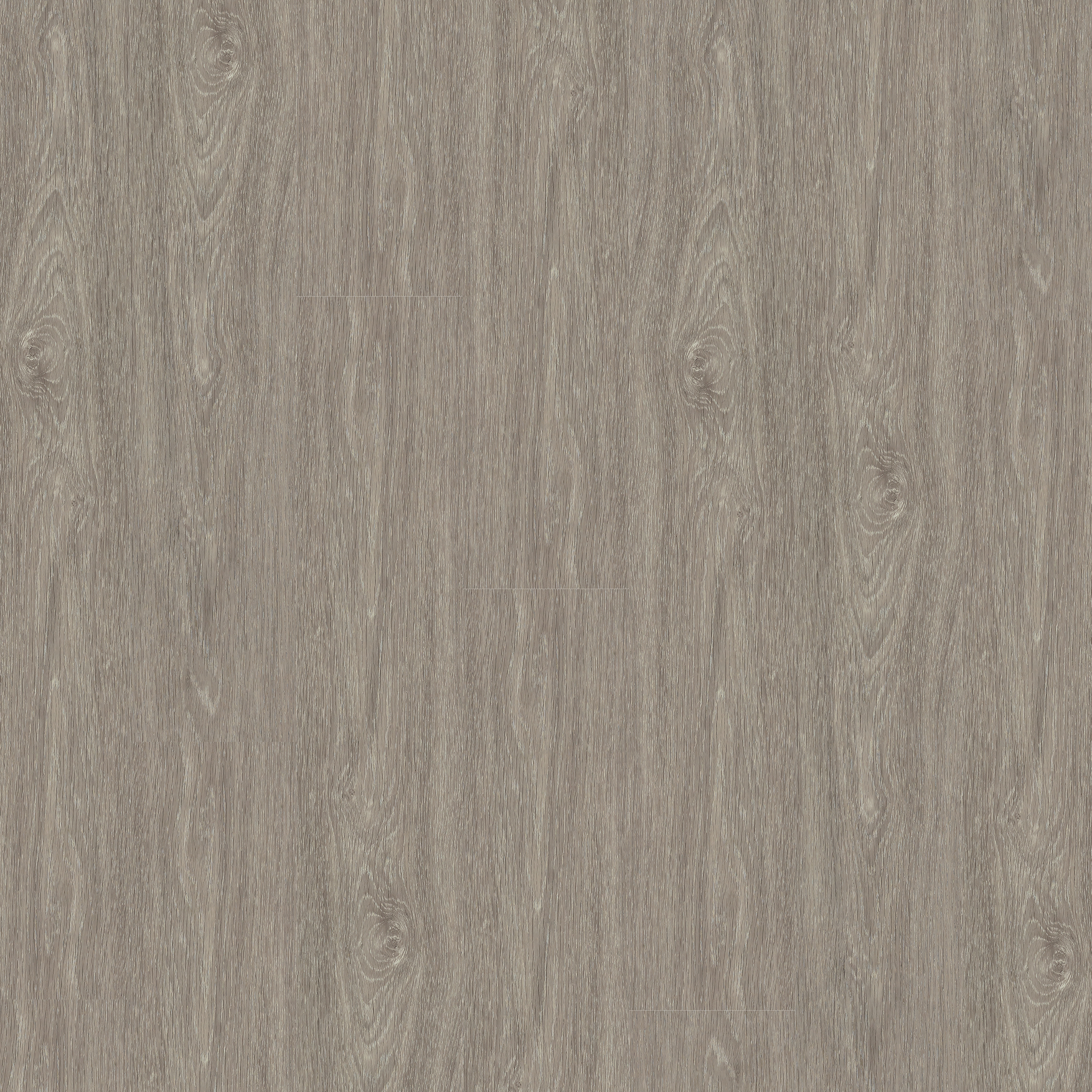 LVT Grey Elm swatch