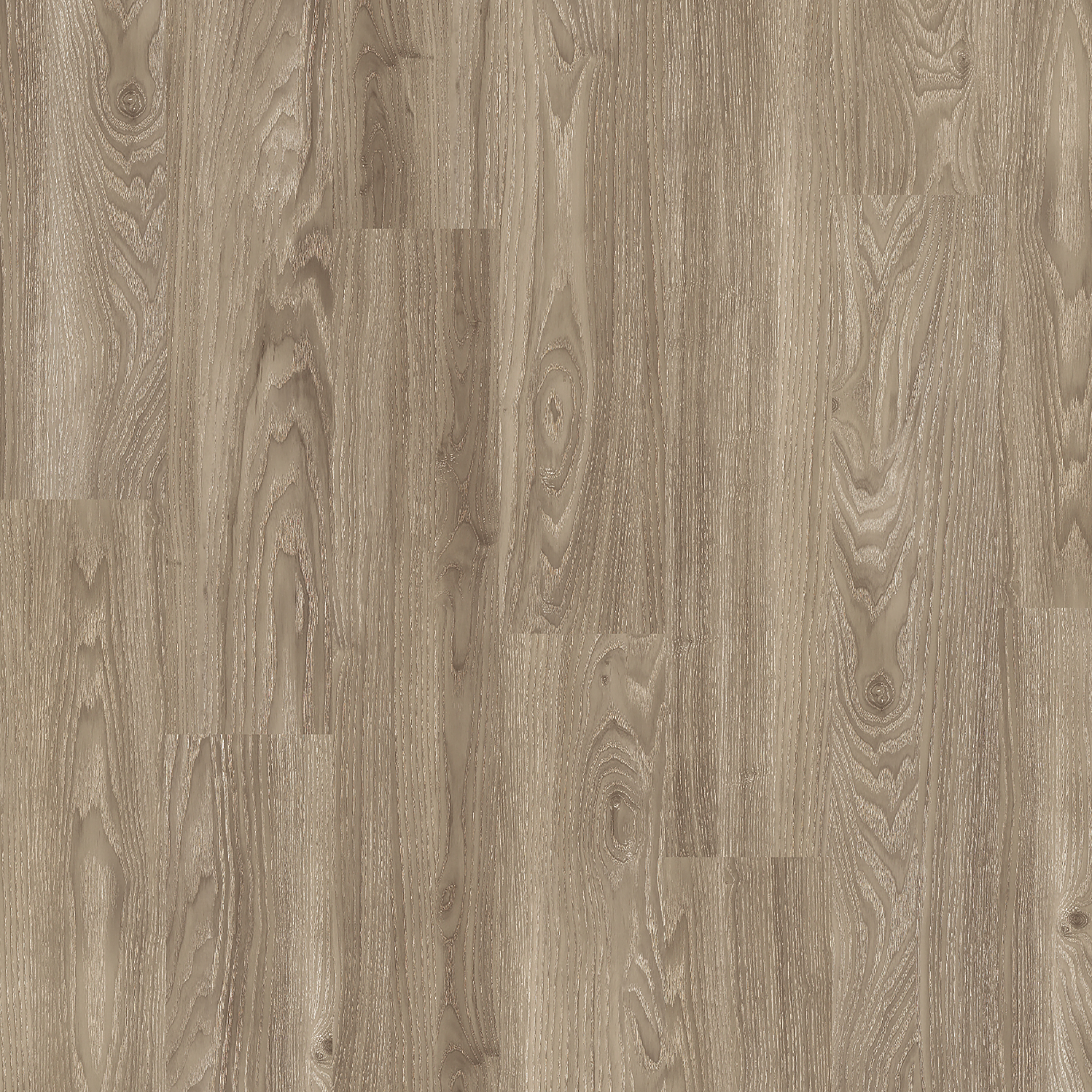 LVT Light Elm swatch
