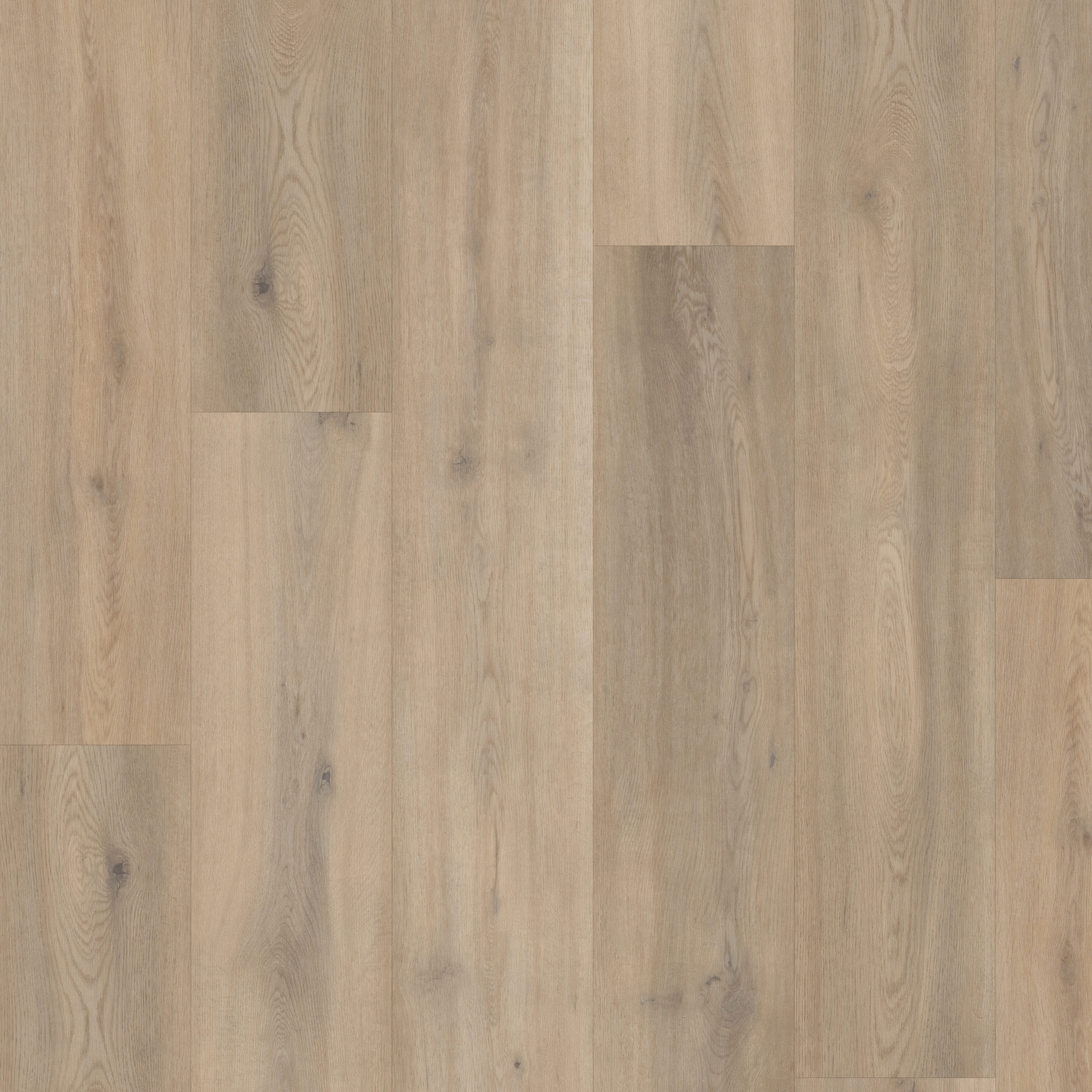 SPC Naked Blond Oak swatch