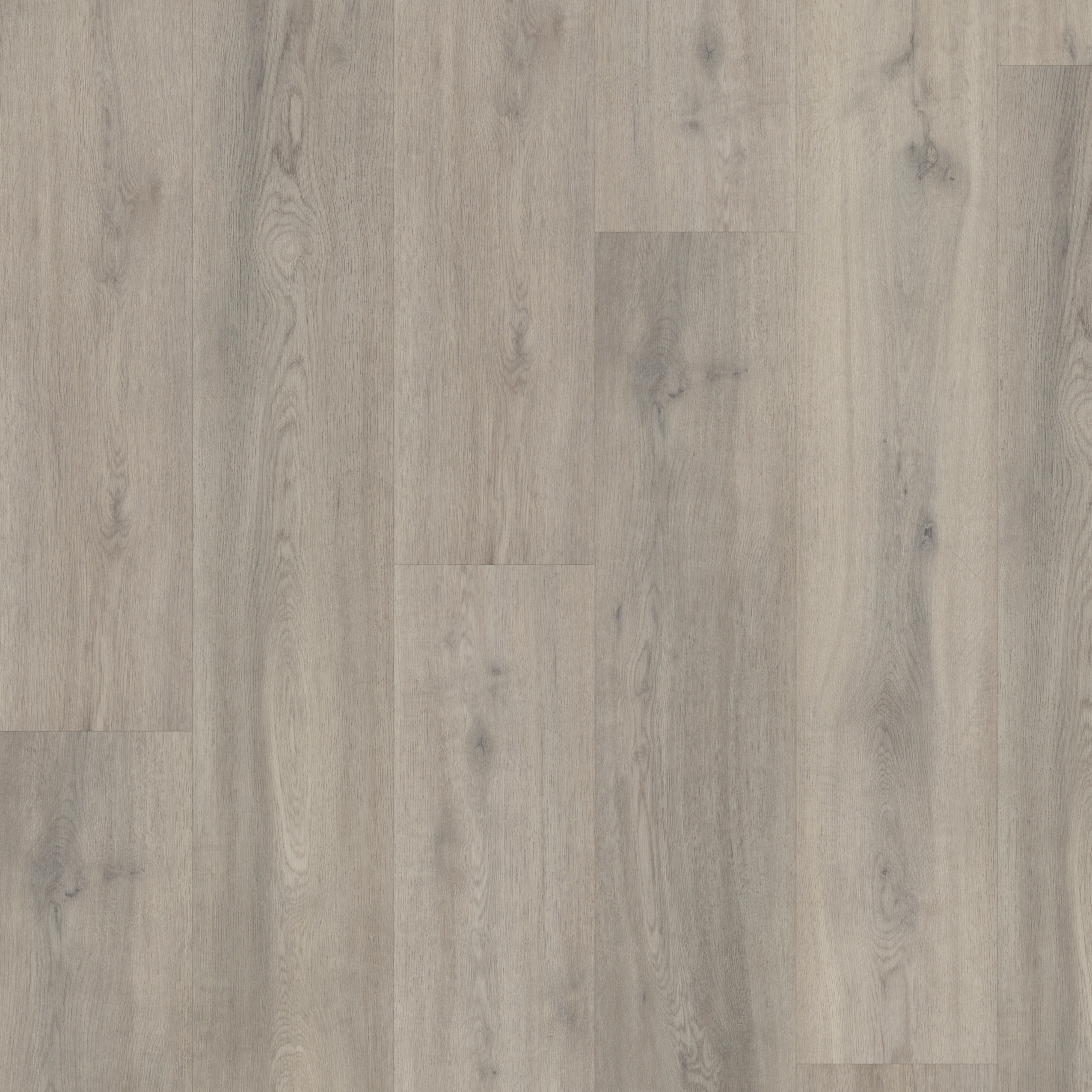 SPC Westchester Oak swatch