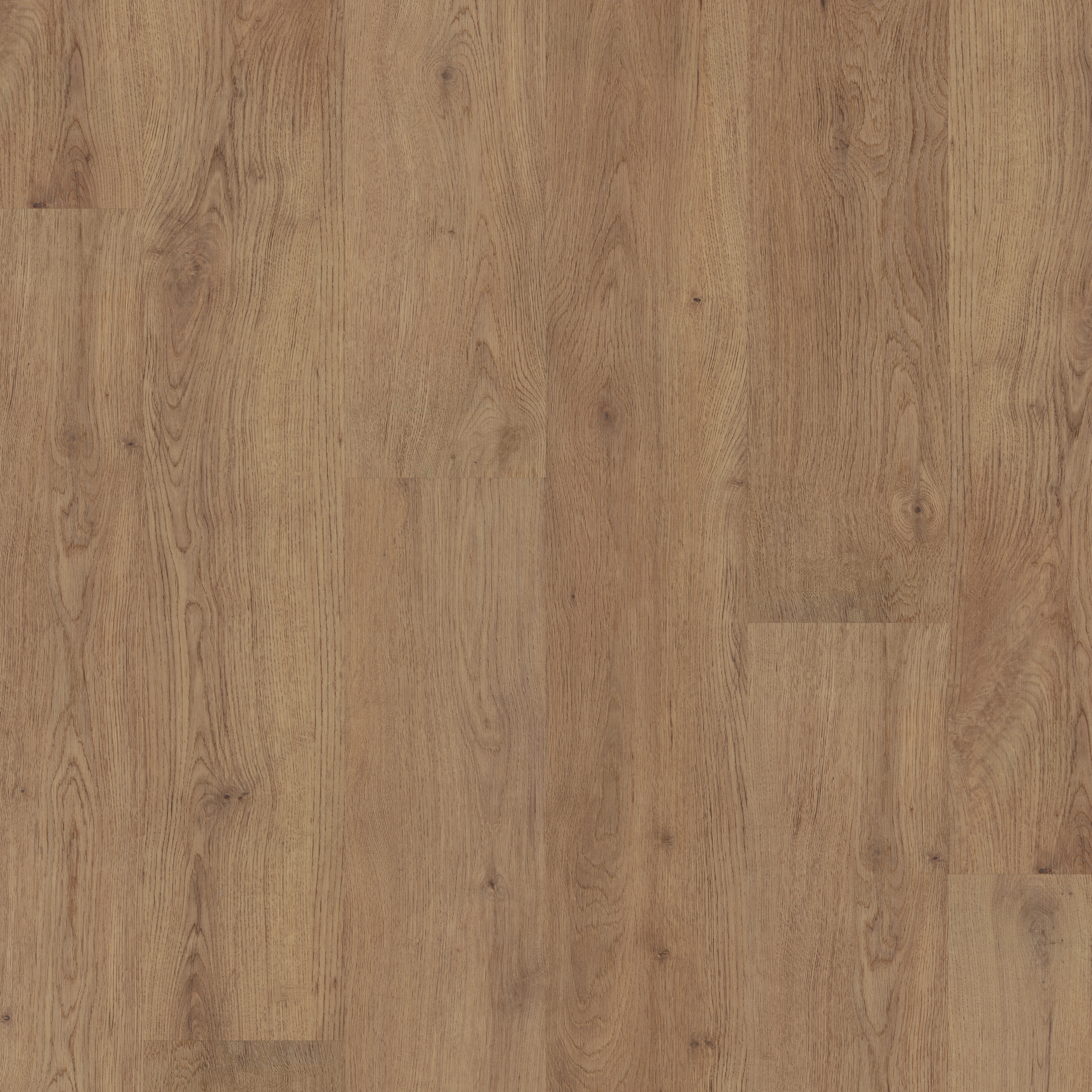 LVT Cathedral Oak swatch