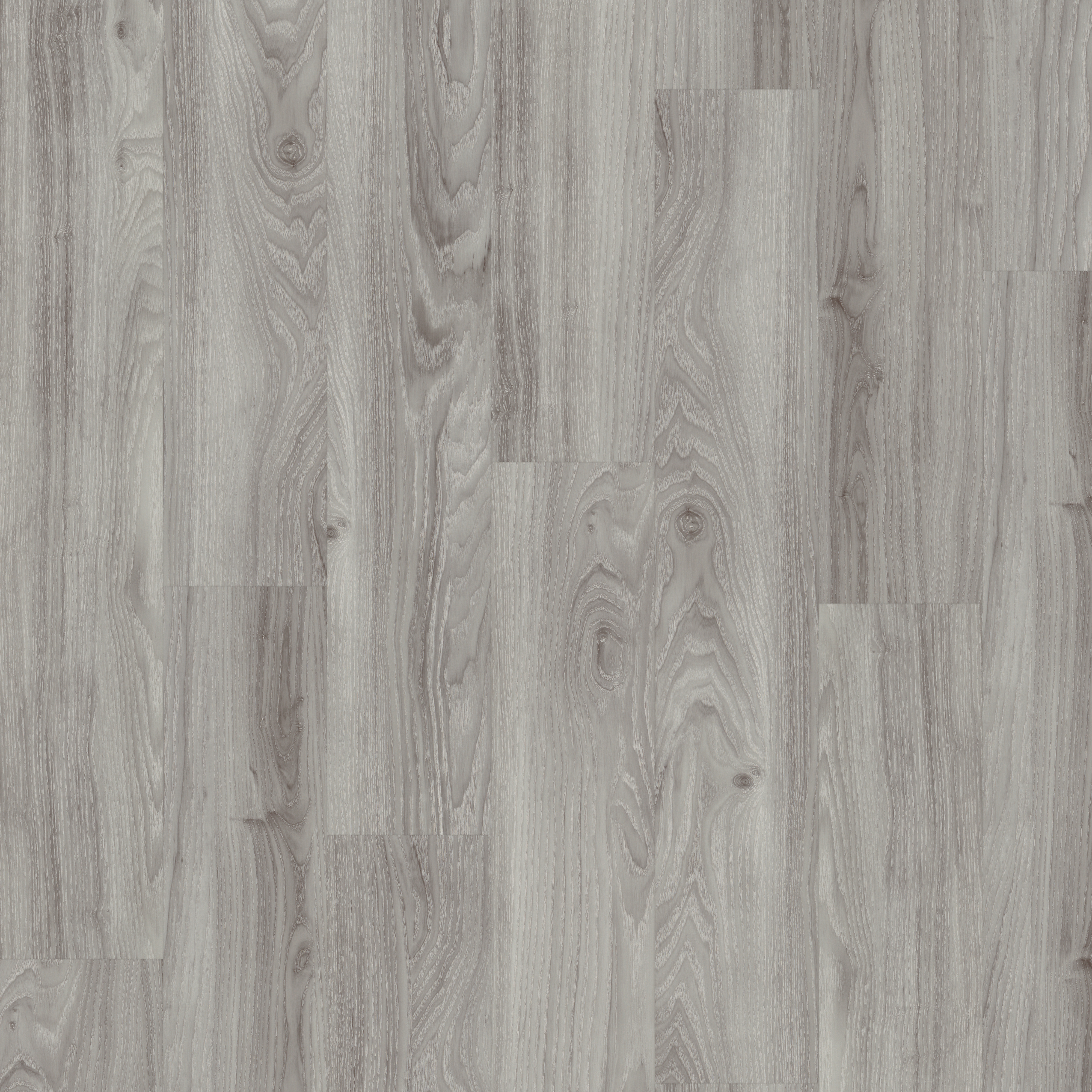 SPC Grey Mountain Ash  swatch