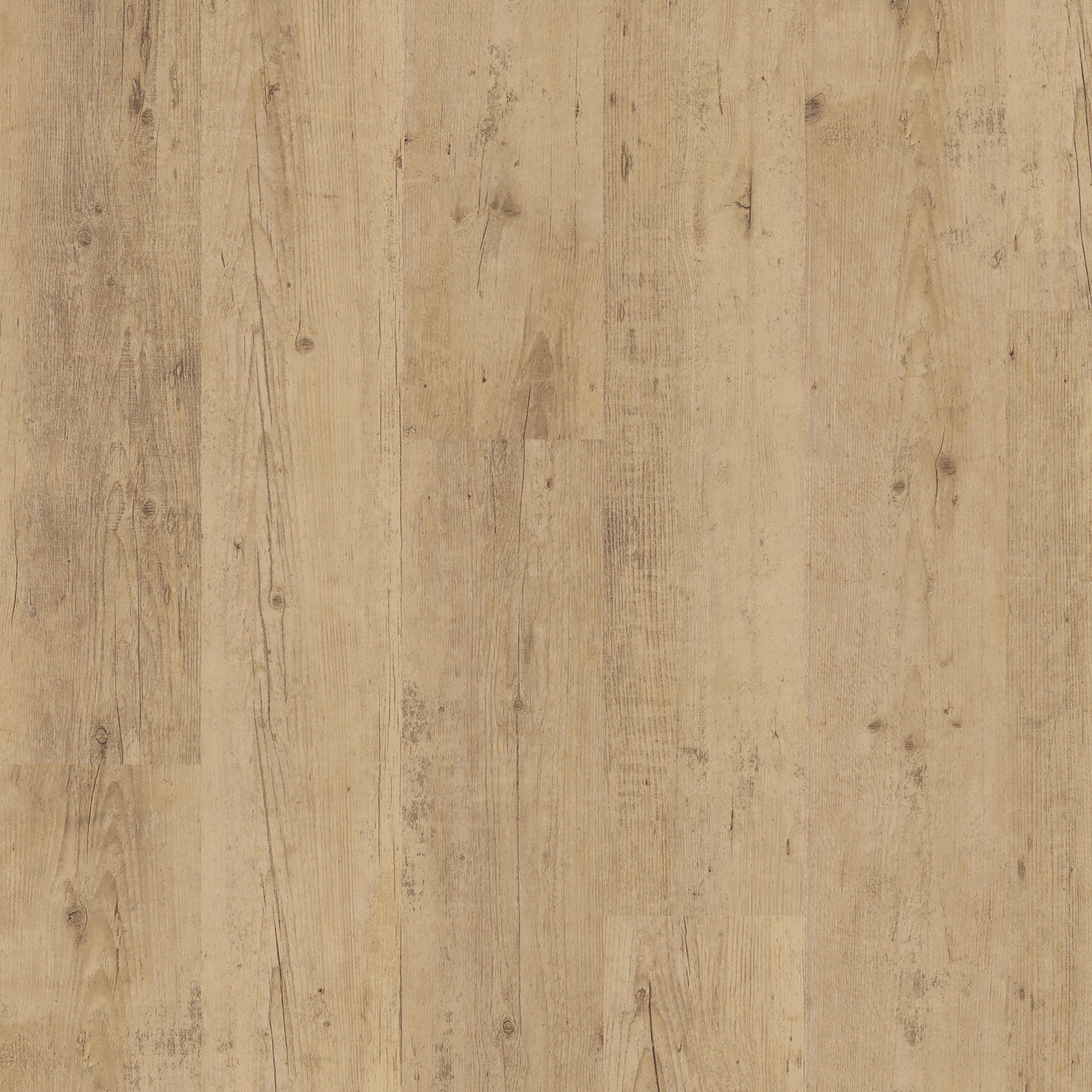 LVT Shoreline Oak swatch