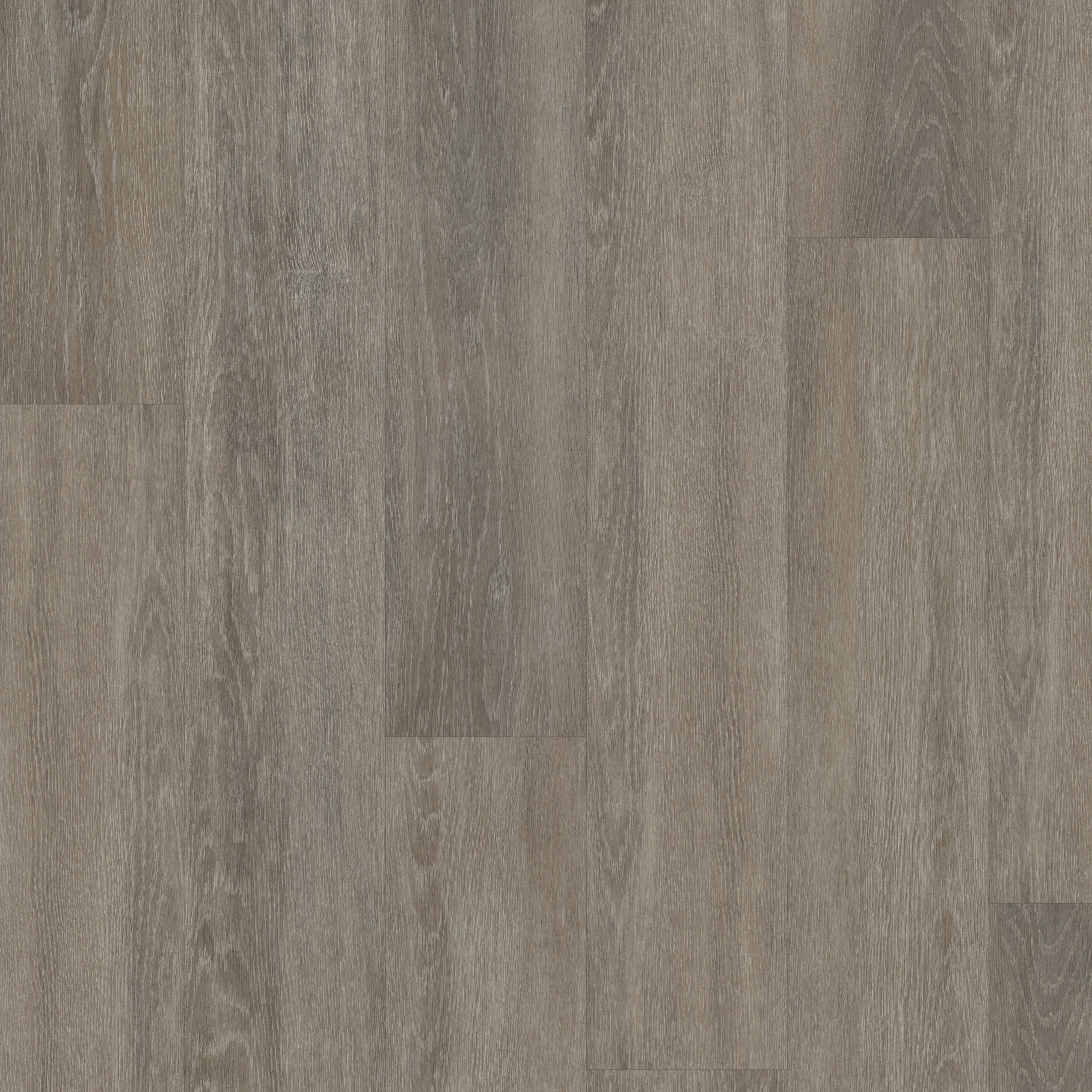 SPC Bayswater Oak swatch