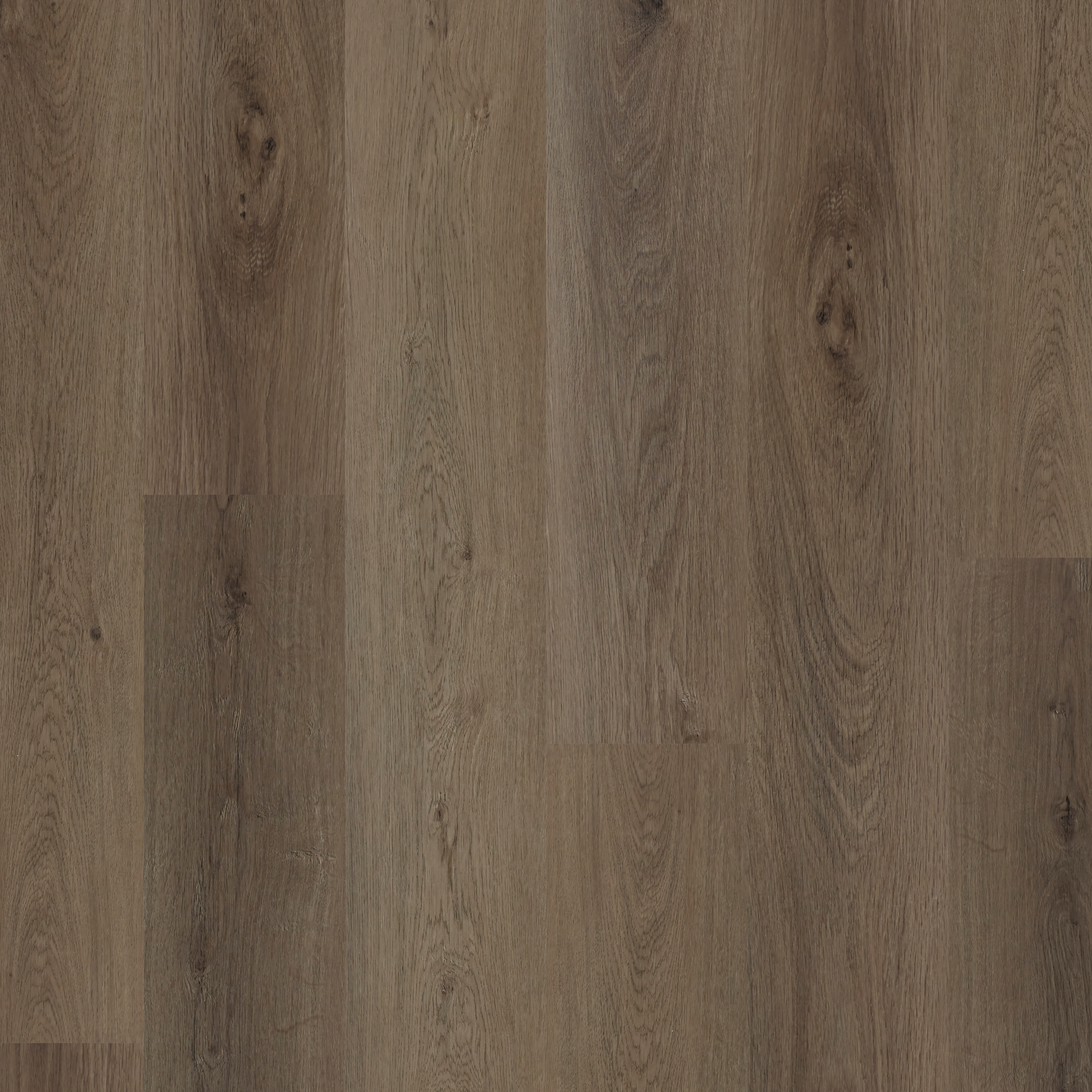LVT Bowland Oak swatch