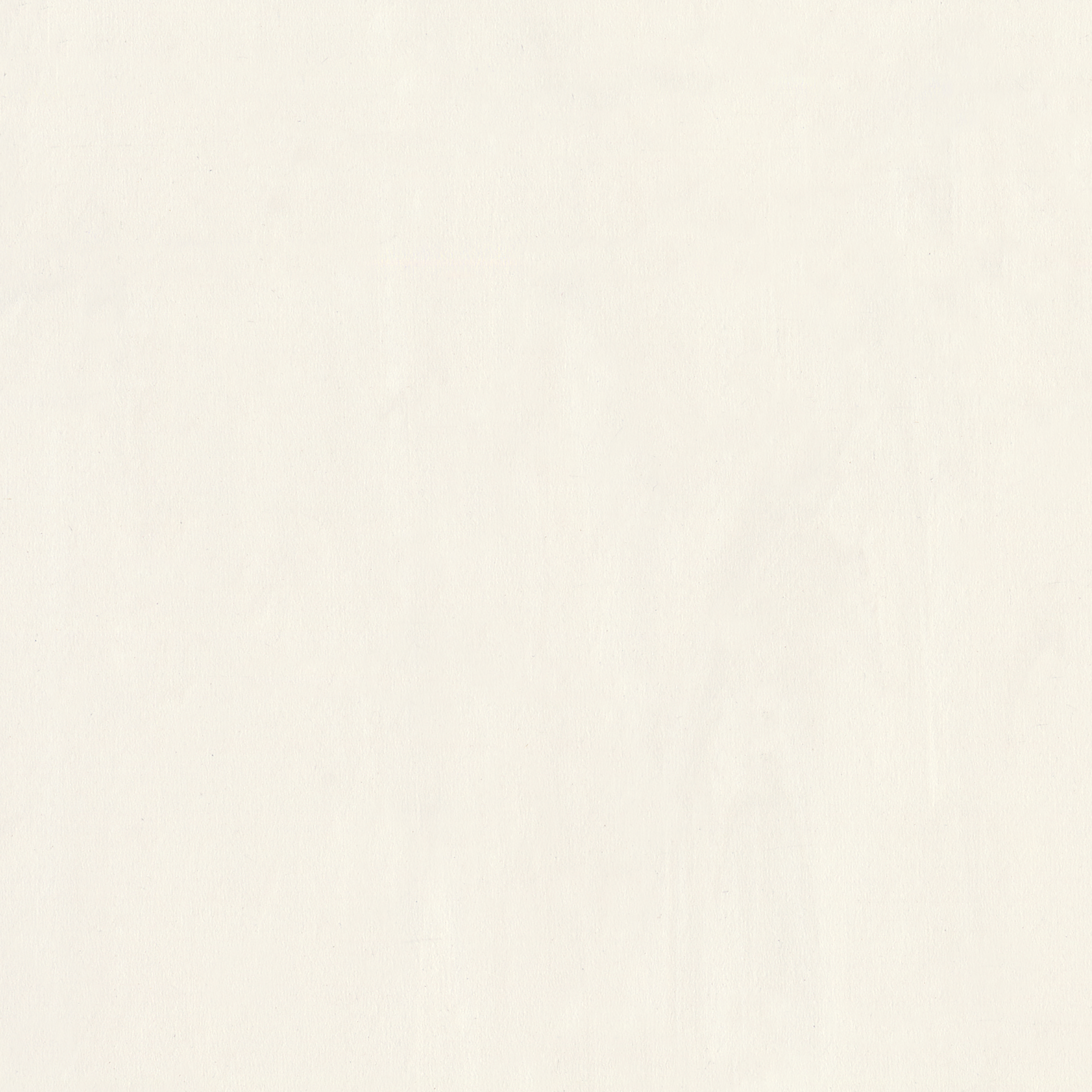 Vinyl White Chalk swatch