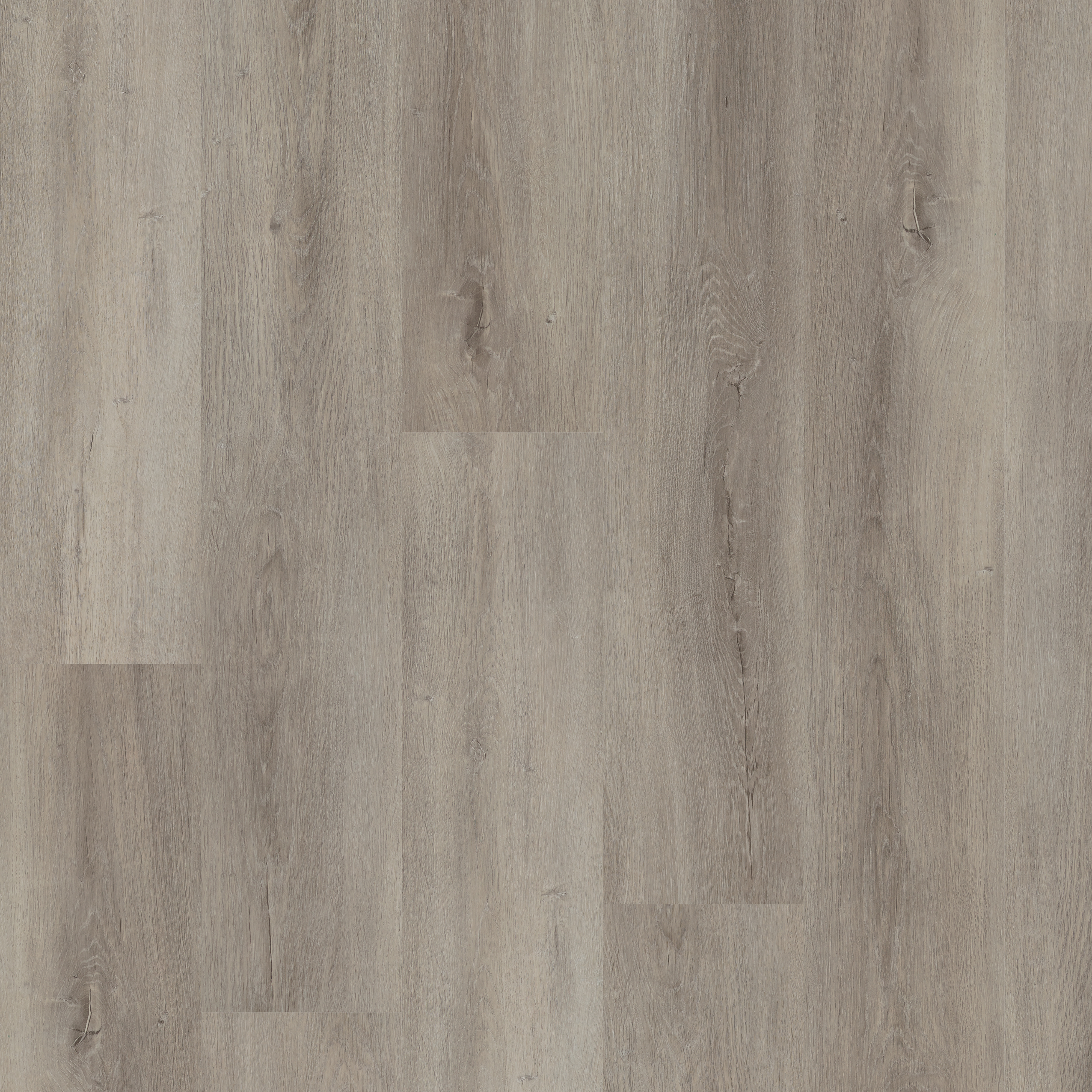 LVT Winchester Oak swatch