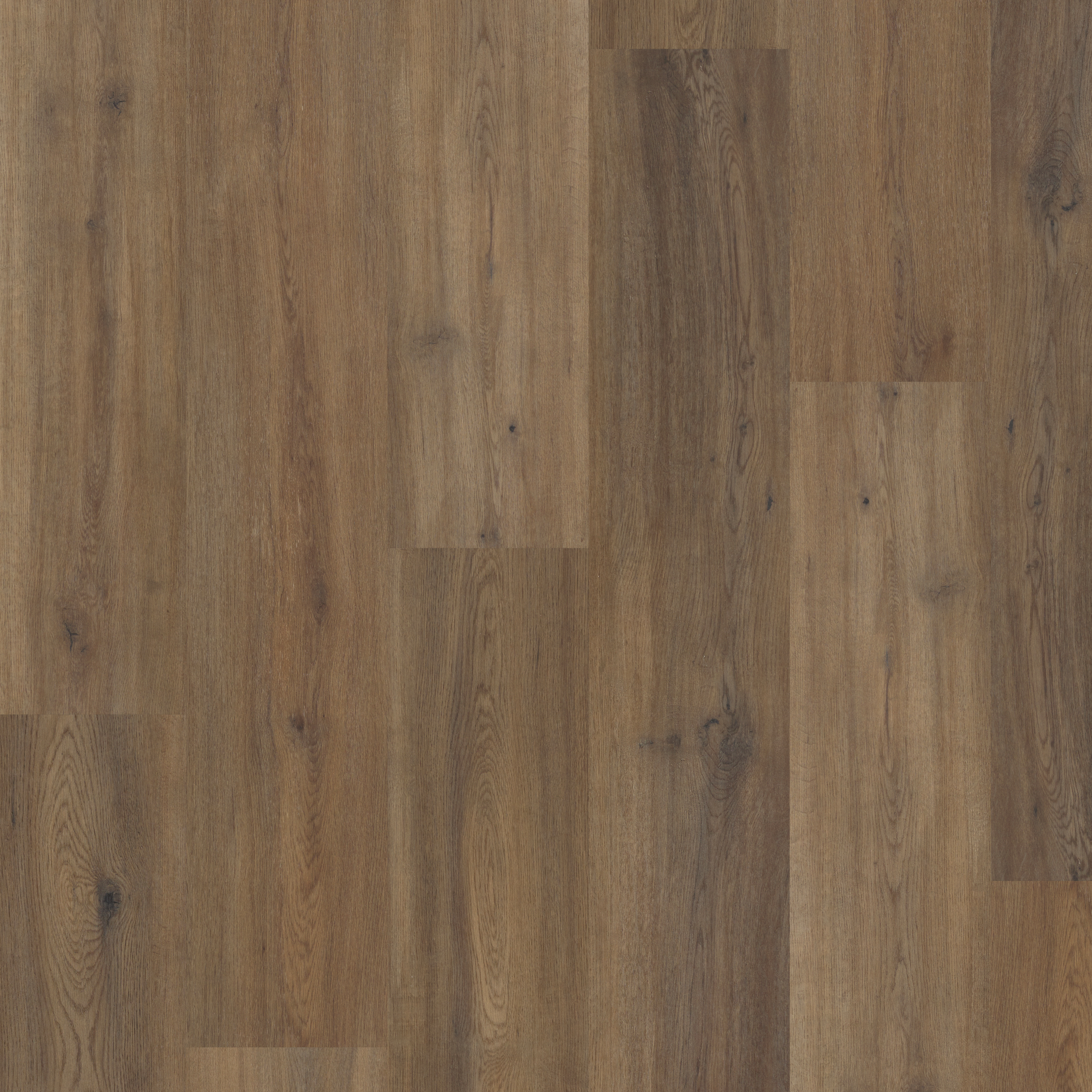 LVT Astoria Oak  swatch