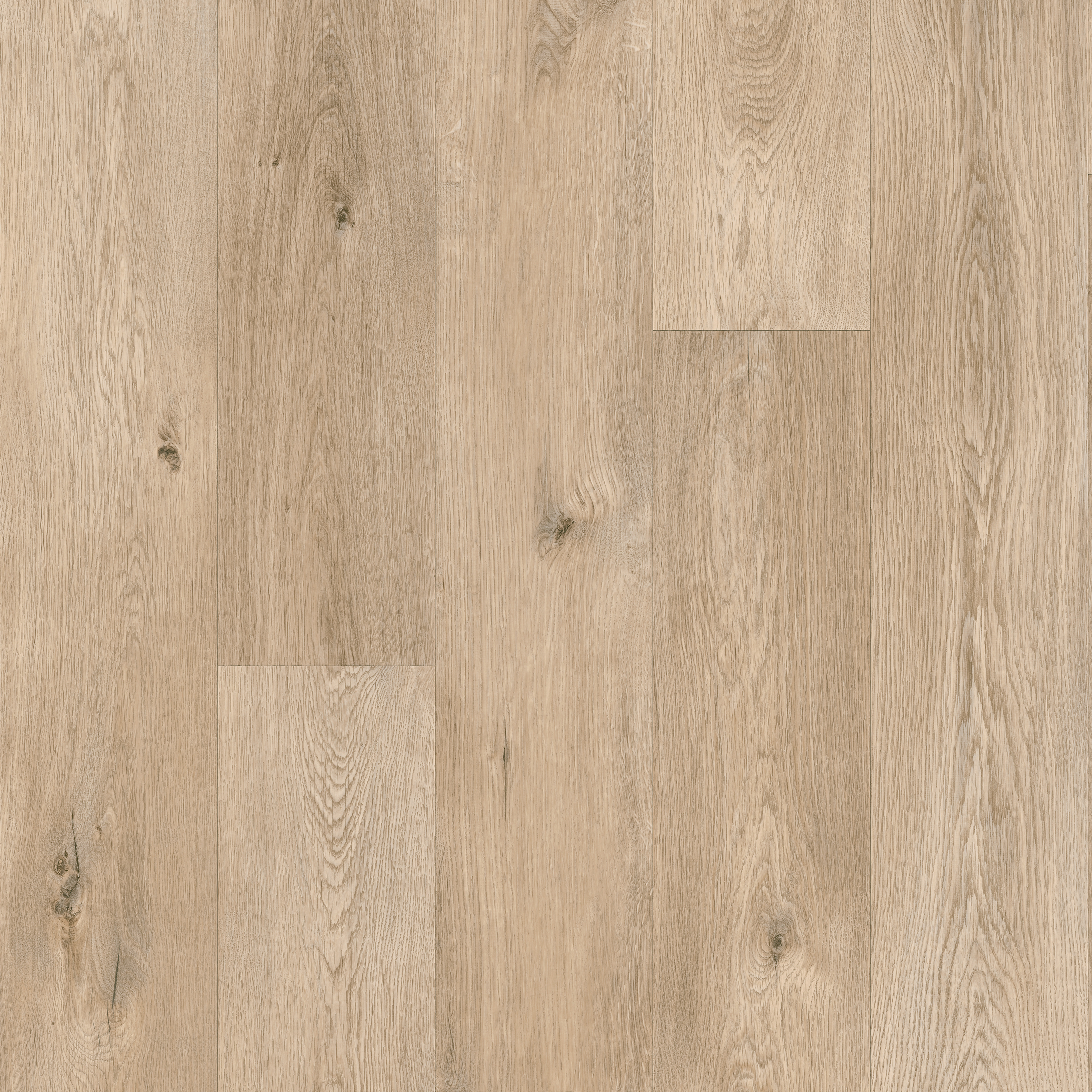 Vinyl Eden Oak swatch