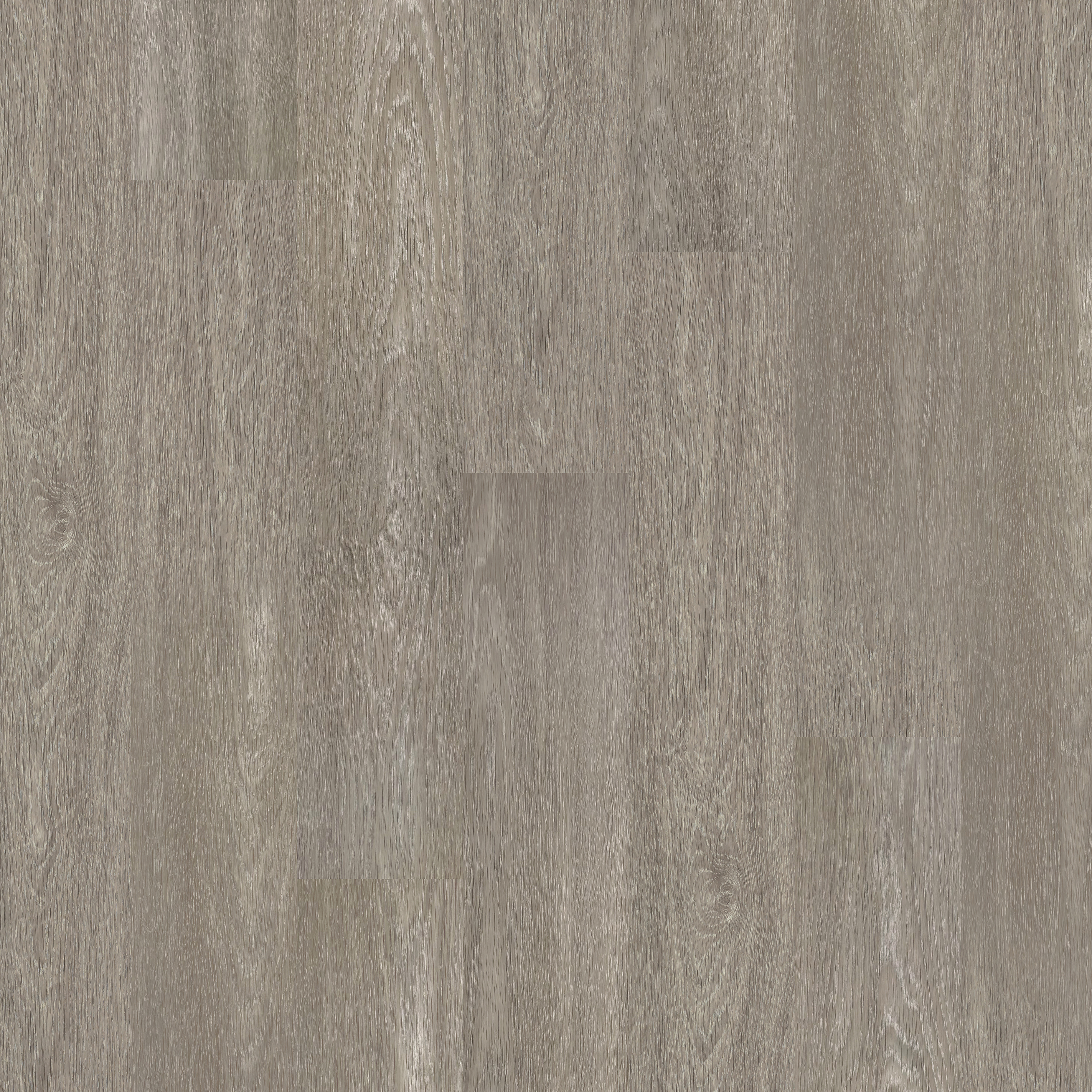 LVT Grey Elm  swatch