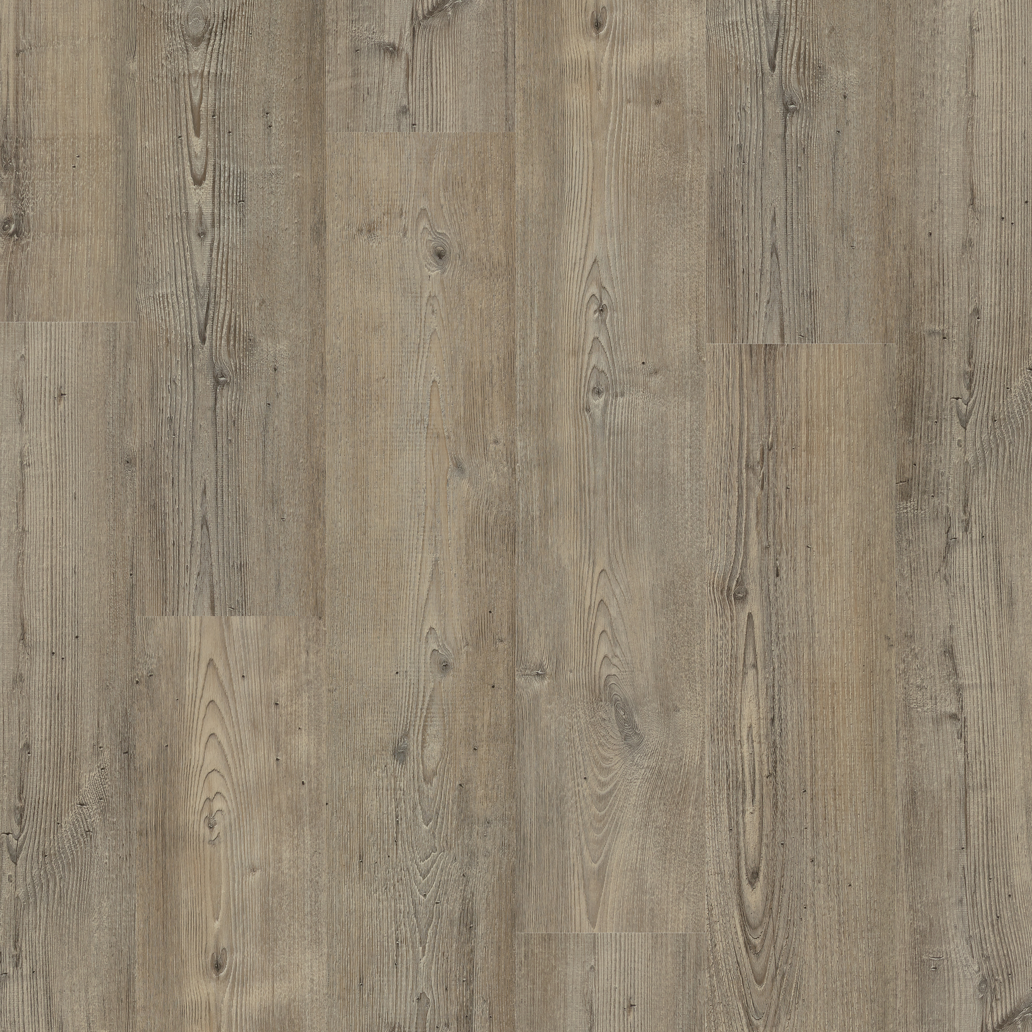 LVT Grey Stained Pine swatch