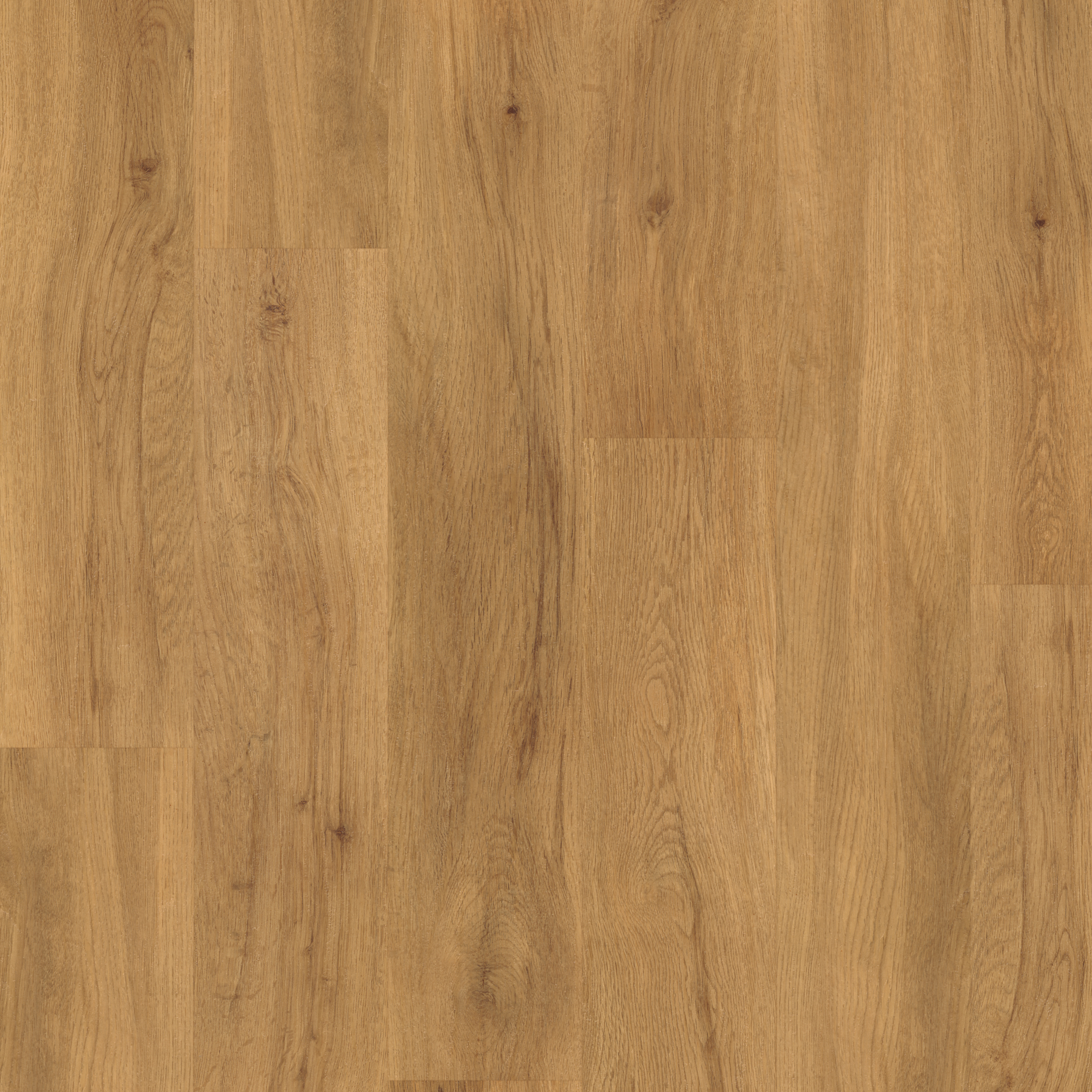 SPC Butternut Oak swatch