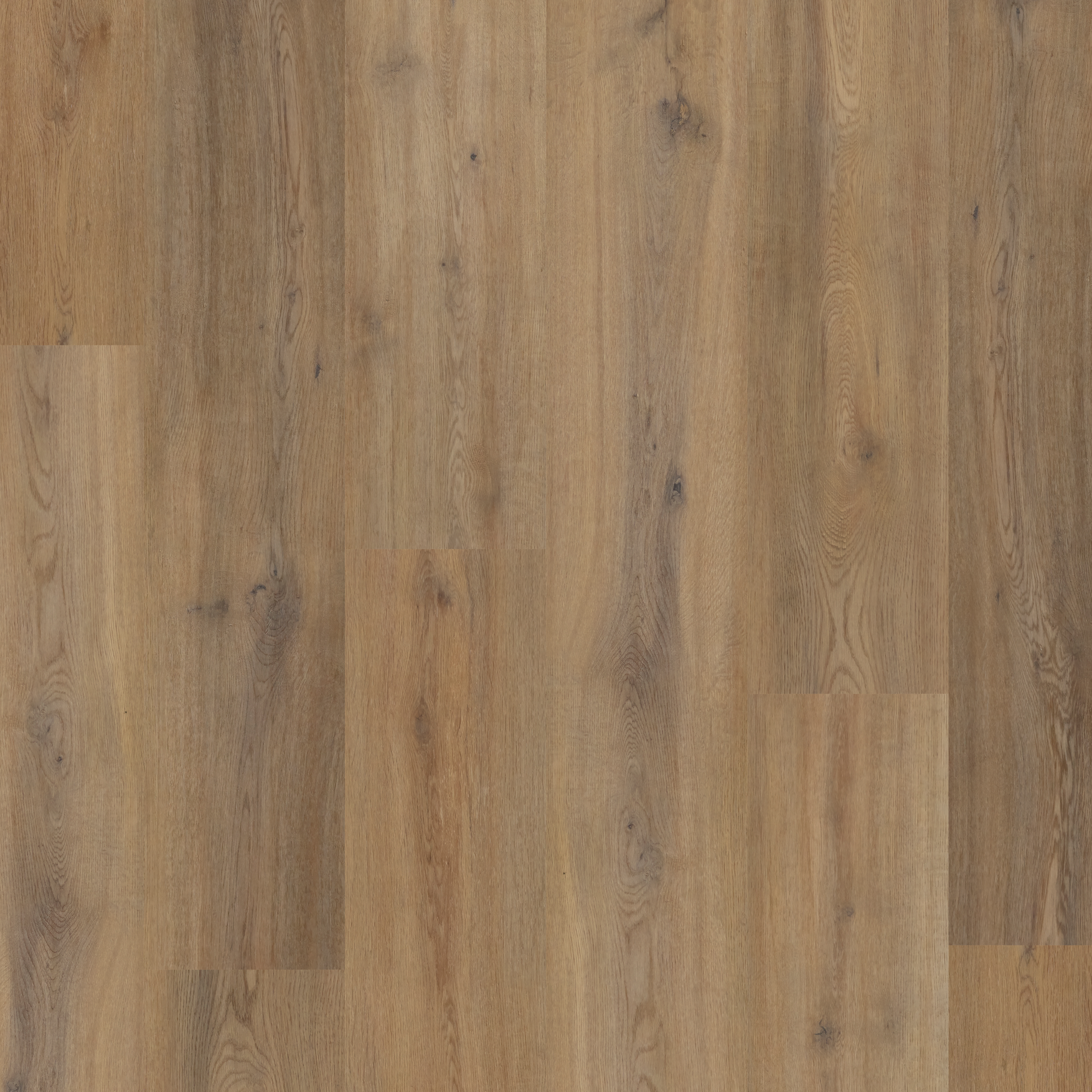 LVT Story Oak swatch
