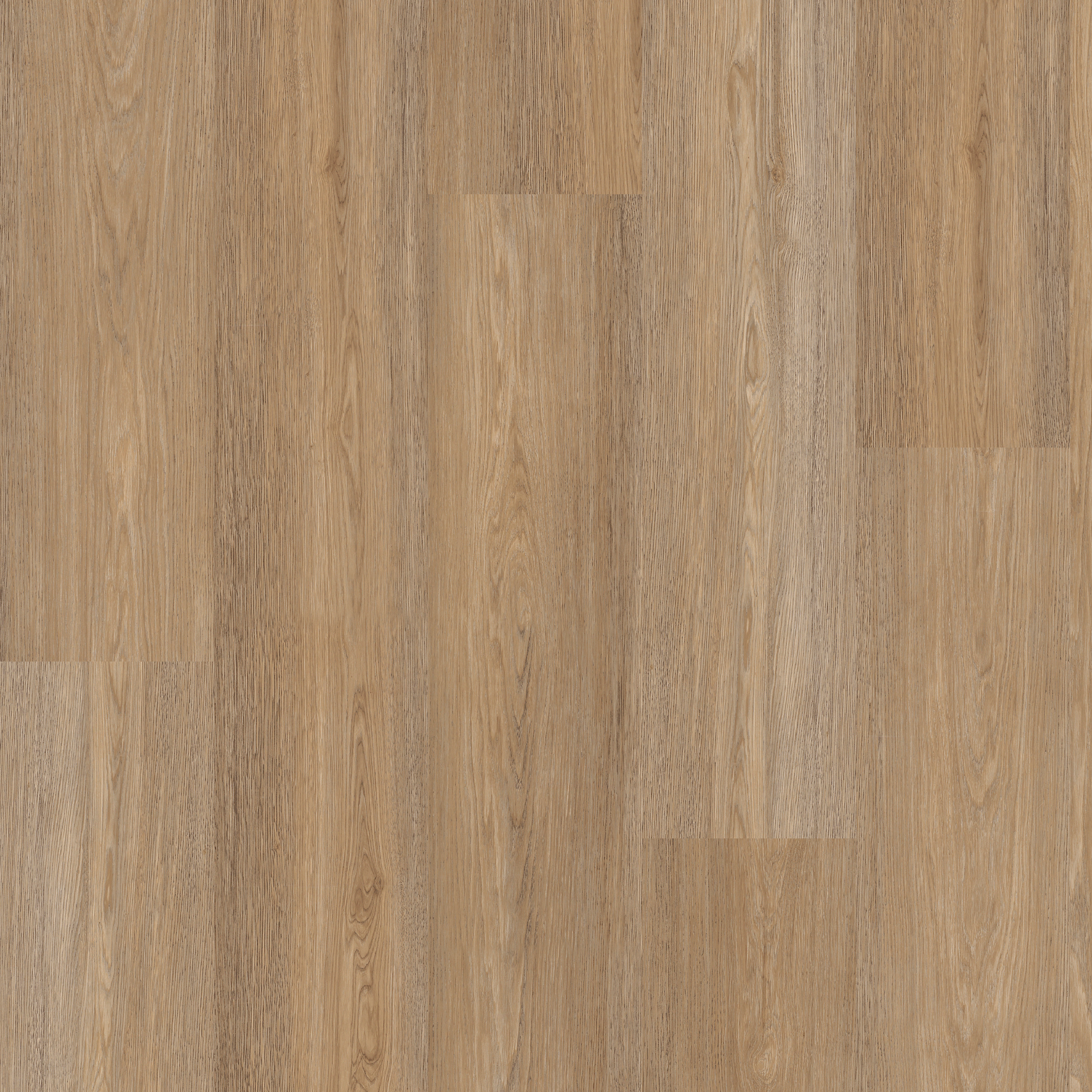 SPC Treehouse Oak swatch