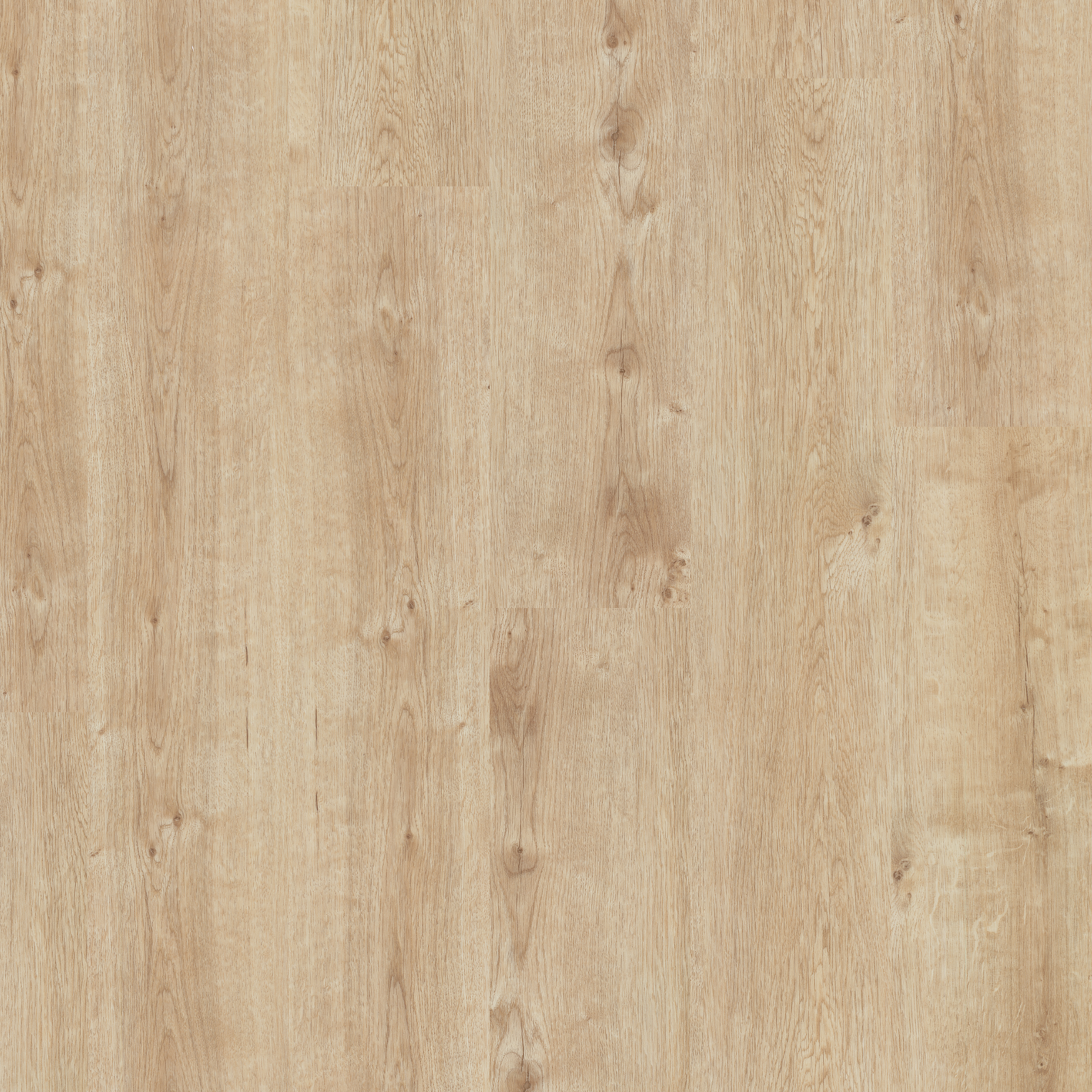 LVT Champagne Oak swatch