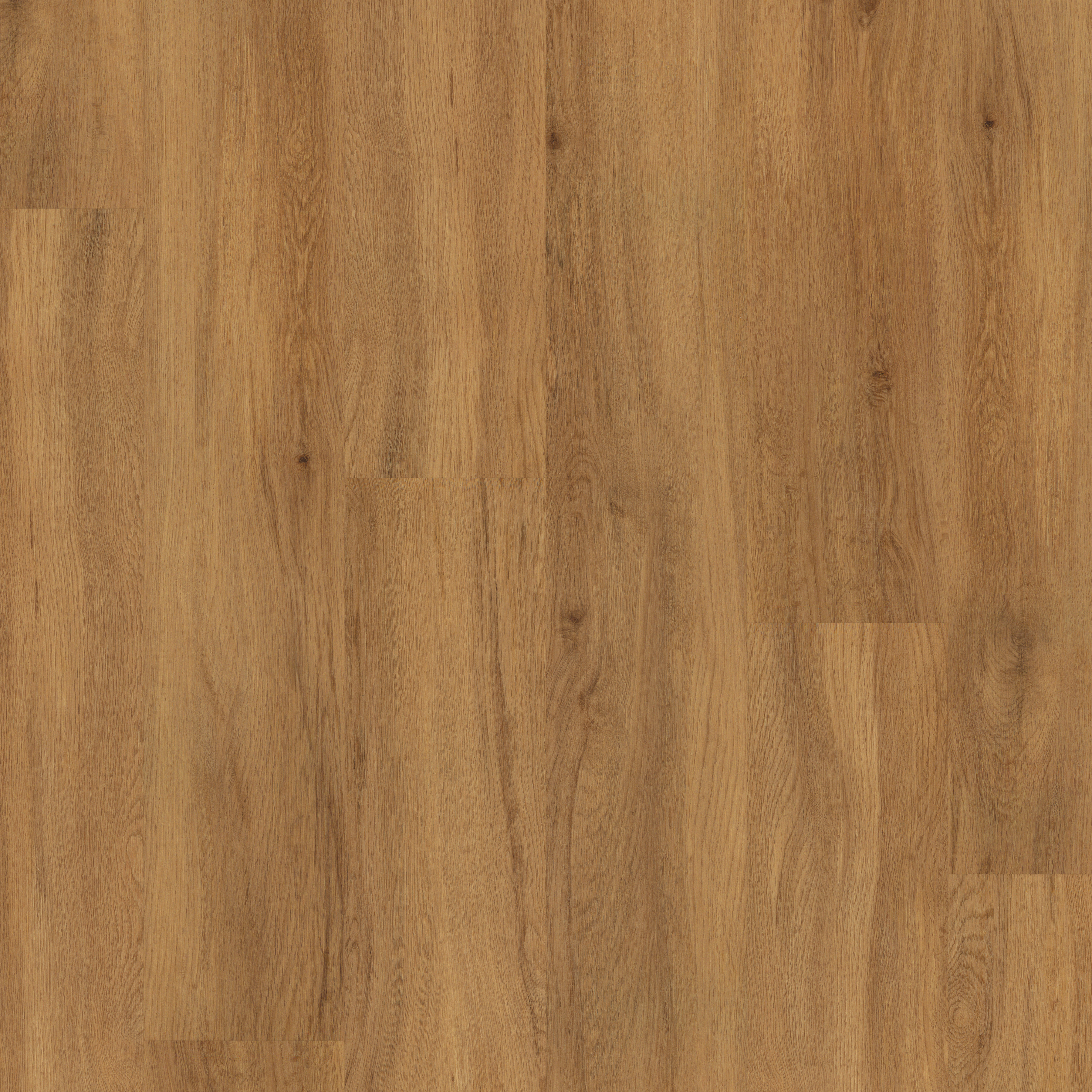 LVT Christchurch Oak swatch