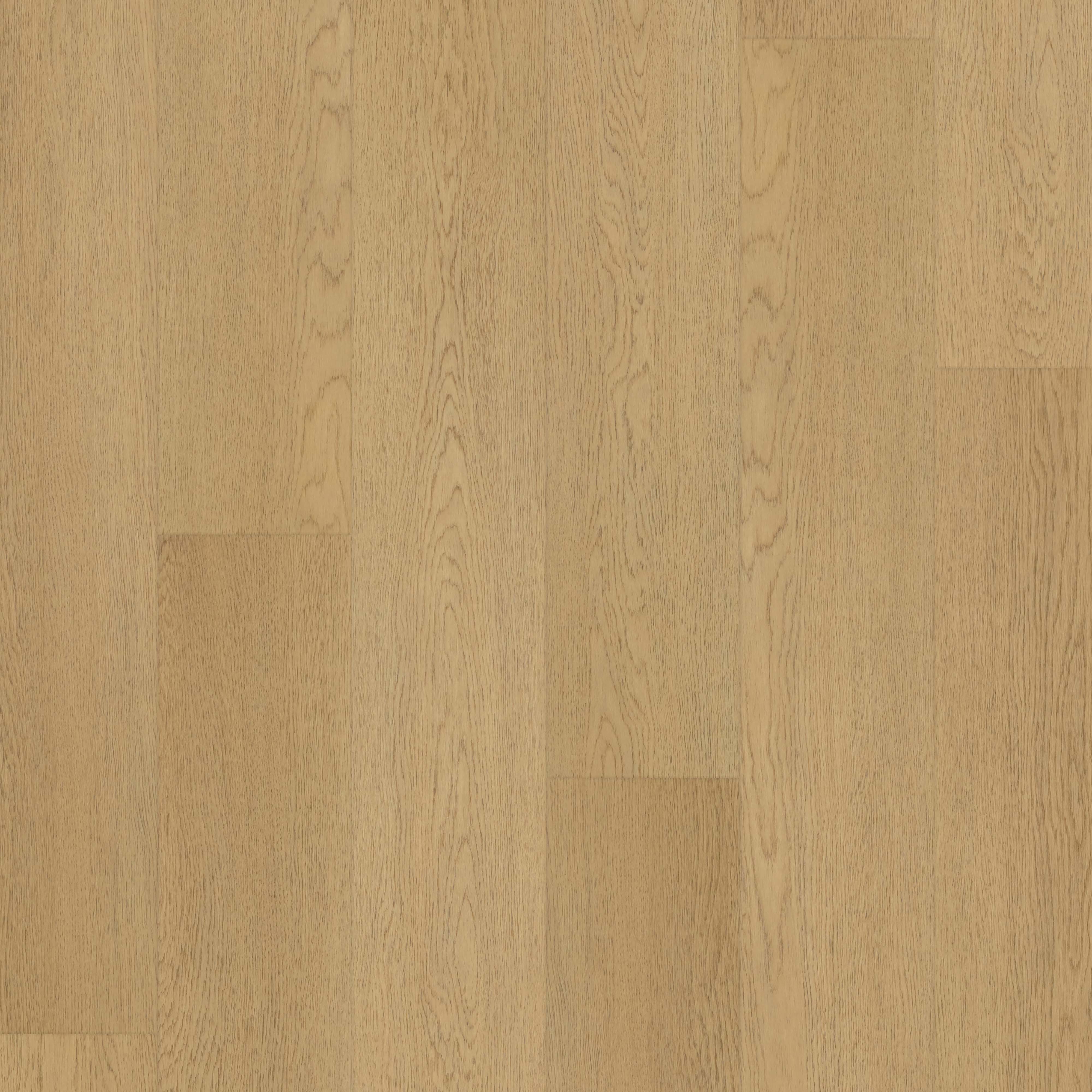 LVT Arlo Oak swatch