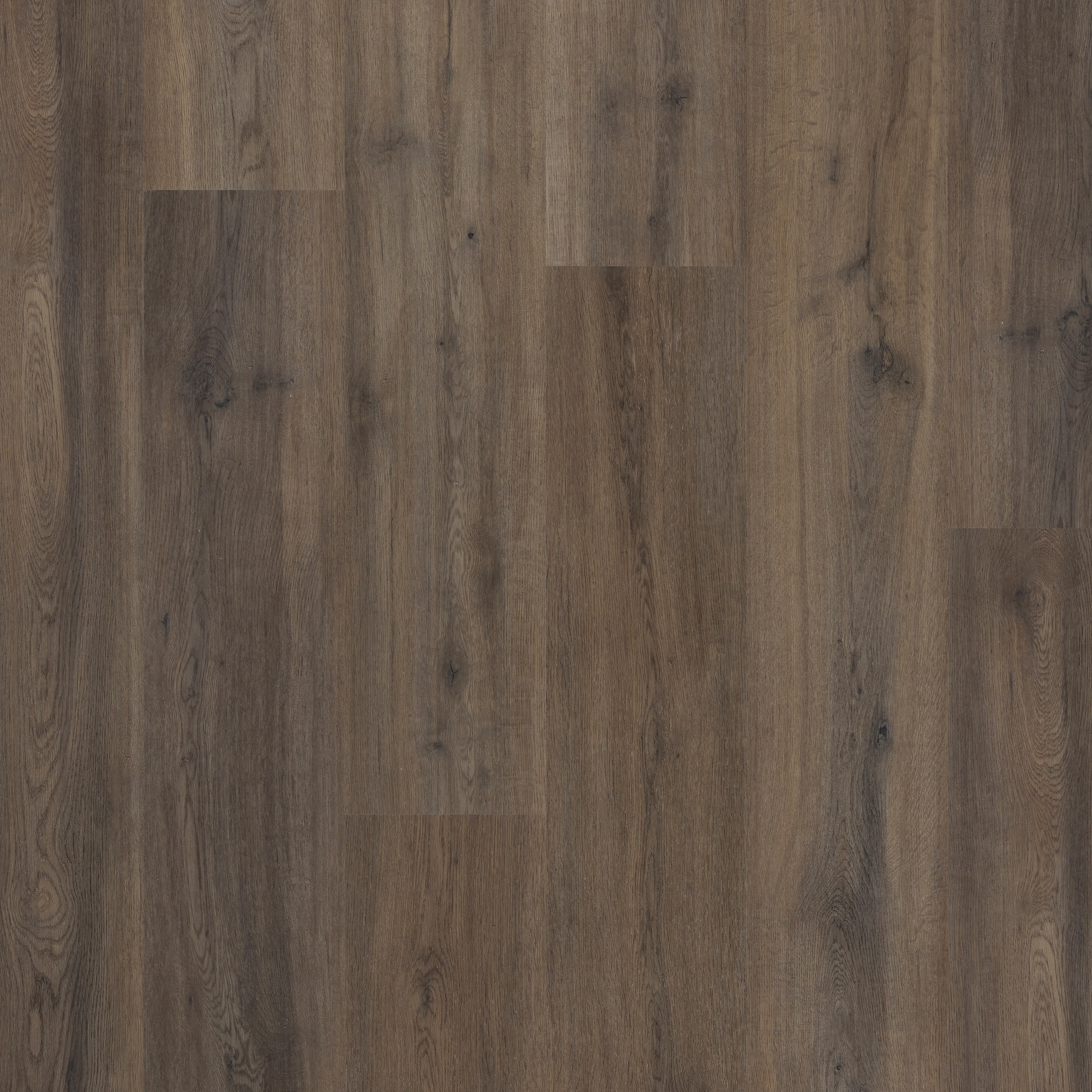 LVT Renaissance Oak swatch