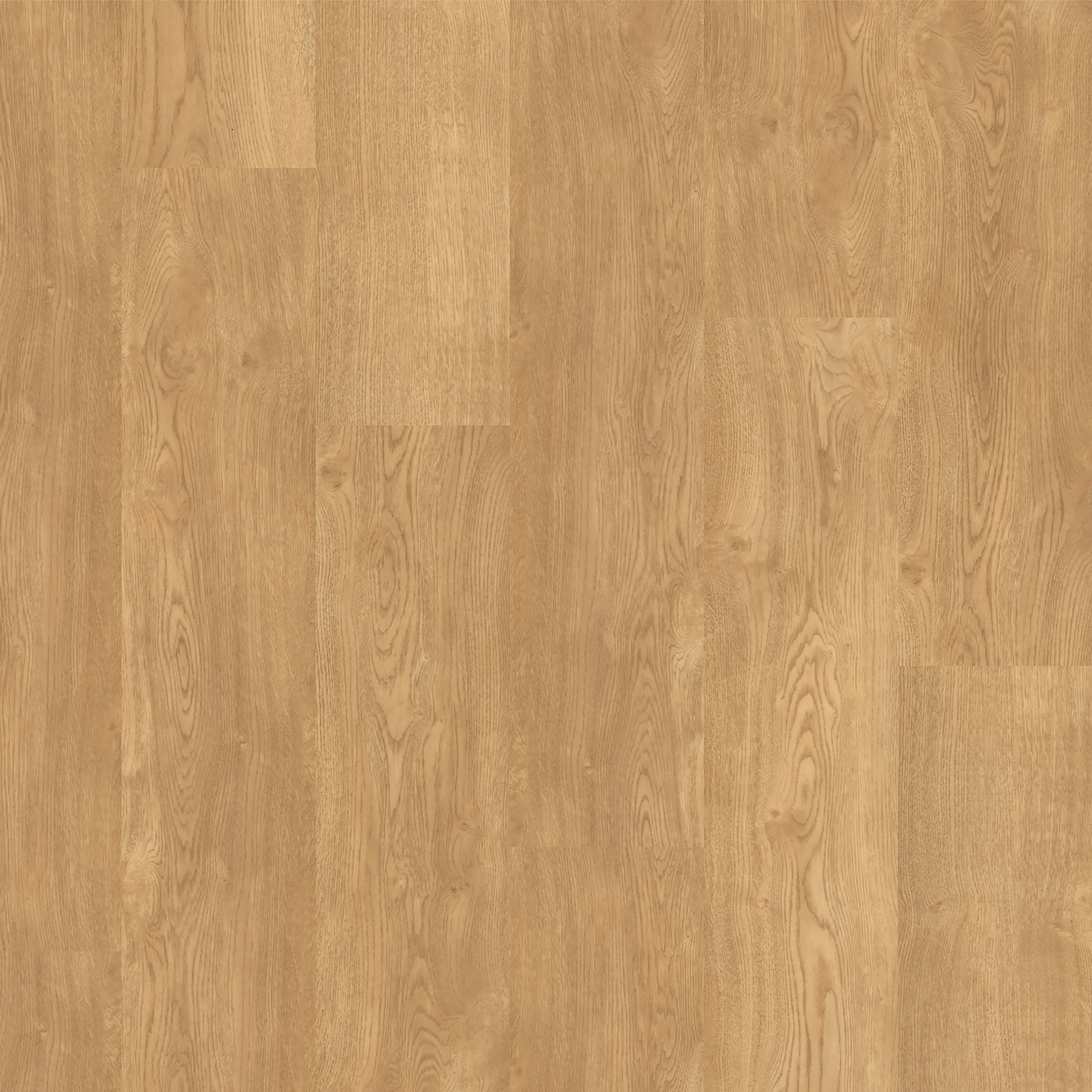 LVT American Oak swatch
