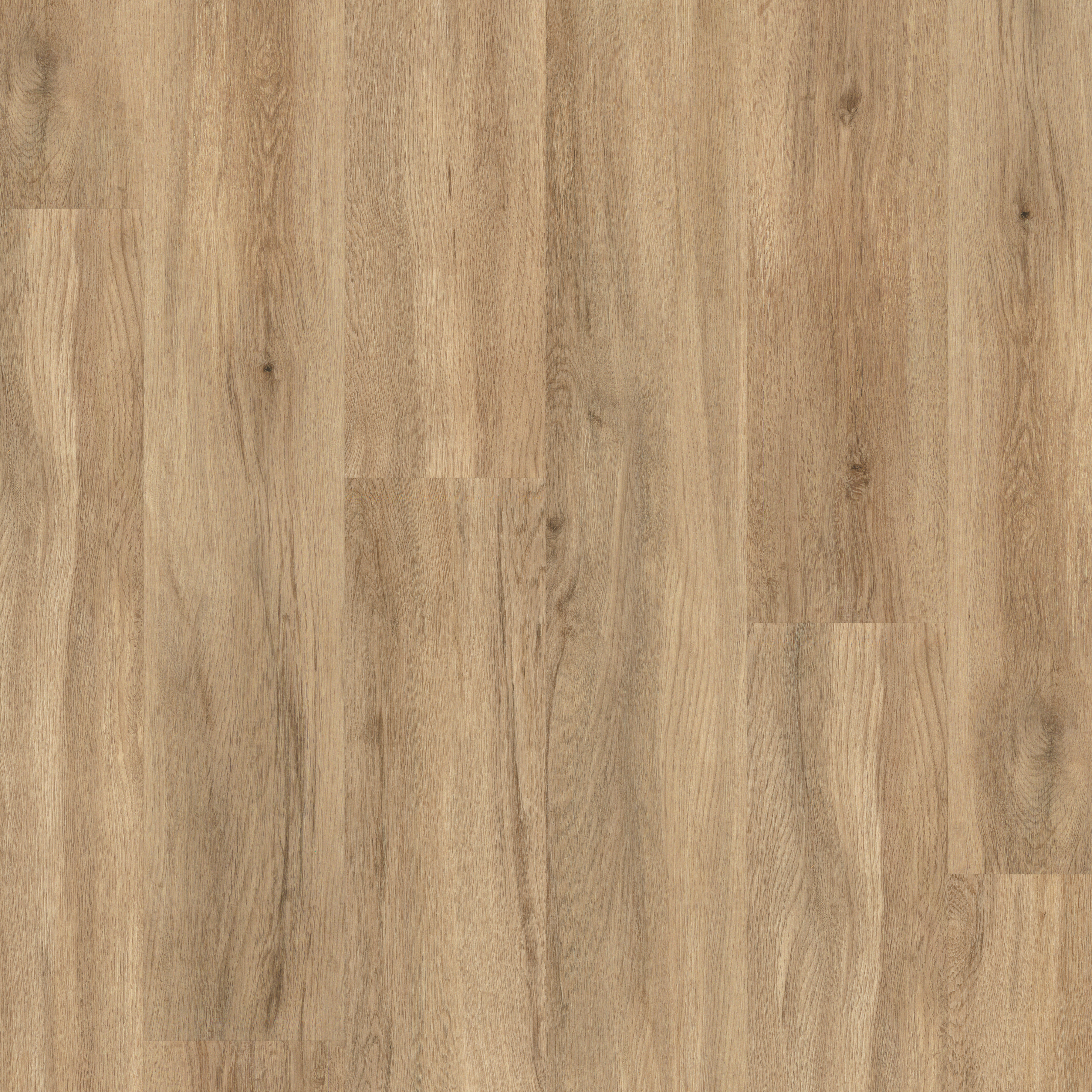 LVT Oxford Light Oak swatch