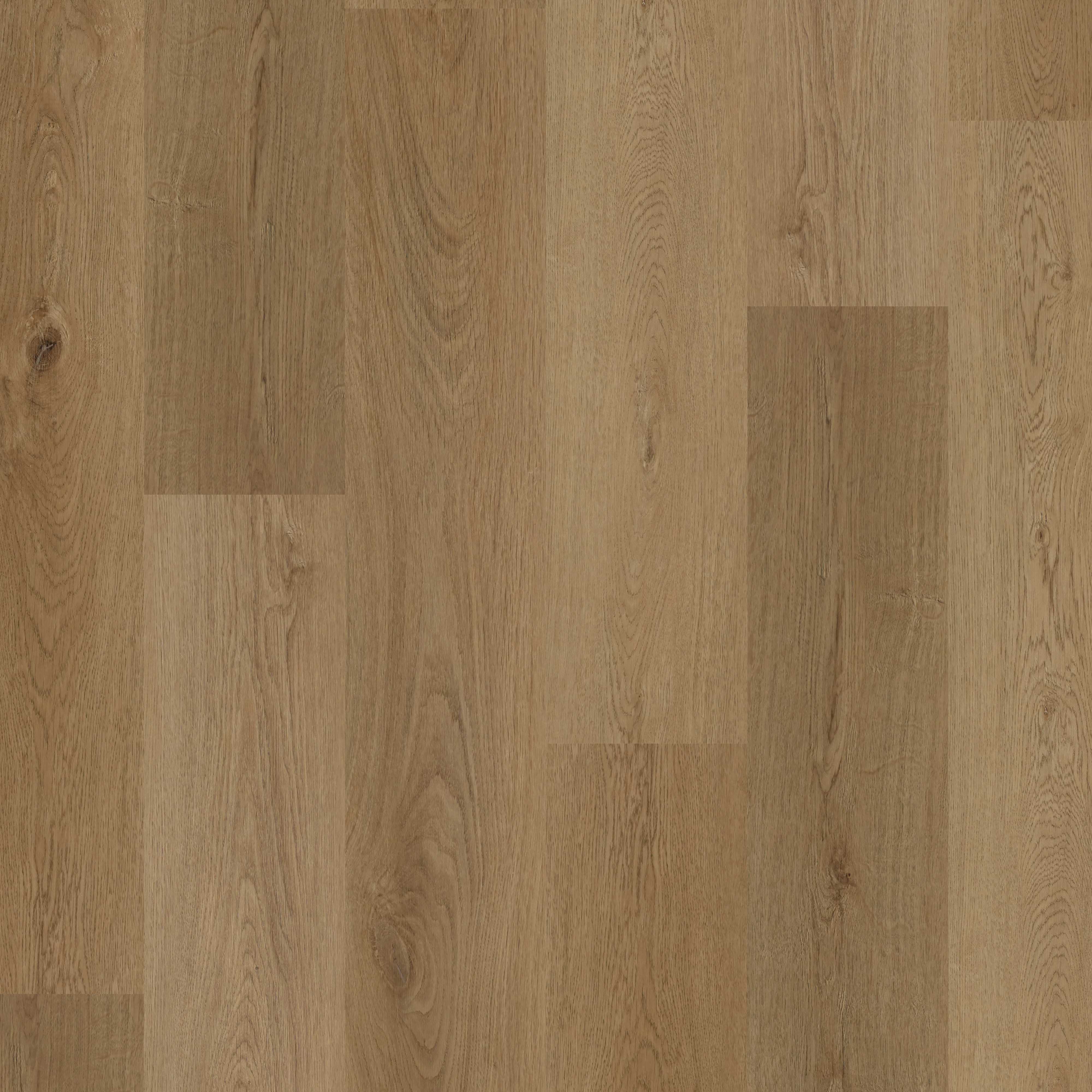 LVT Country Park Oak swatch