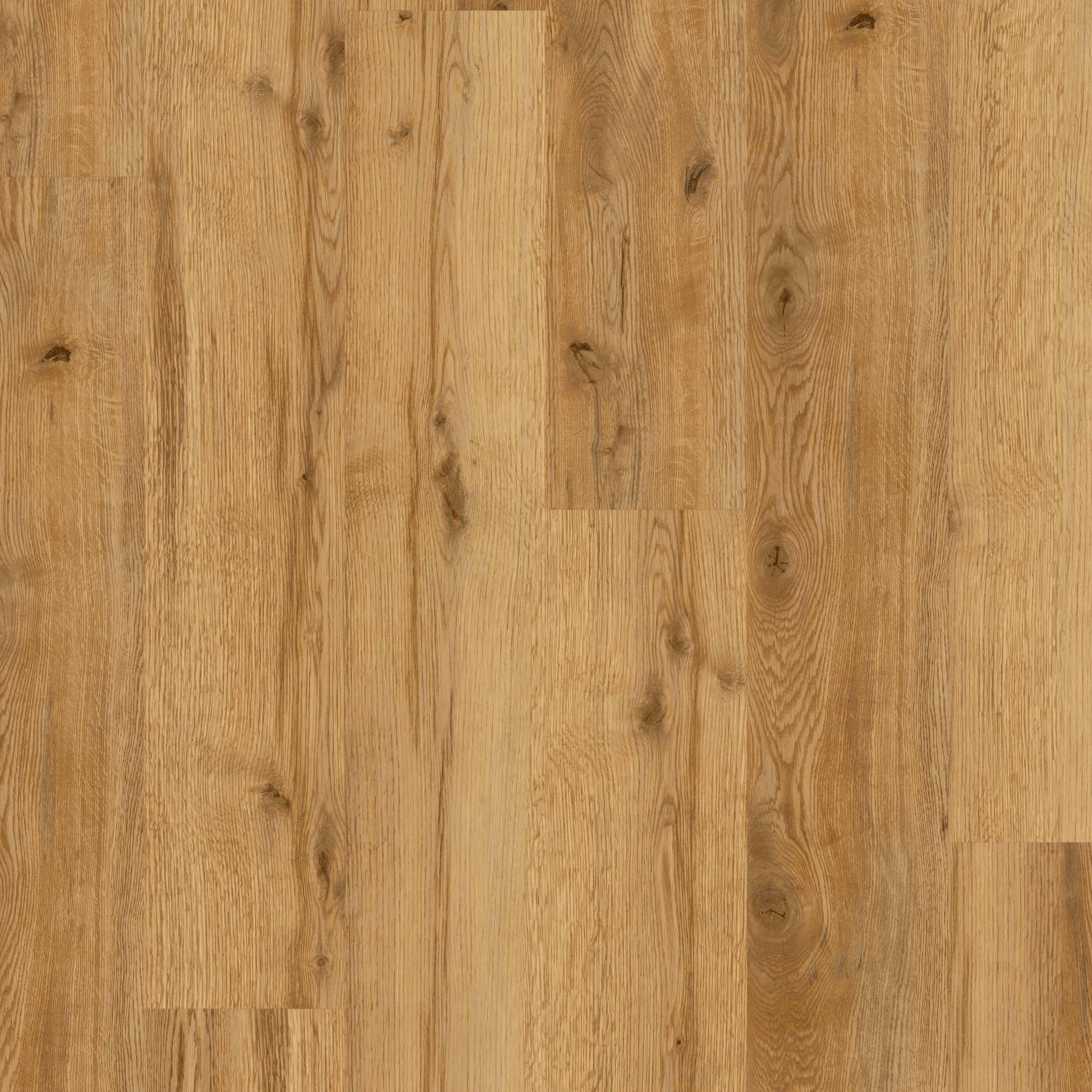 LVT Sherwood Oak  swatch