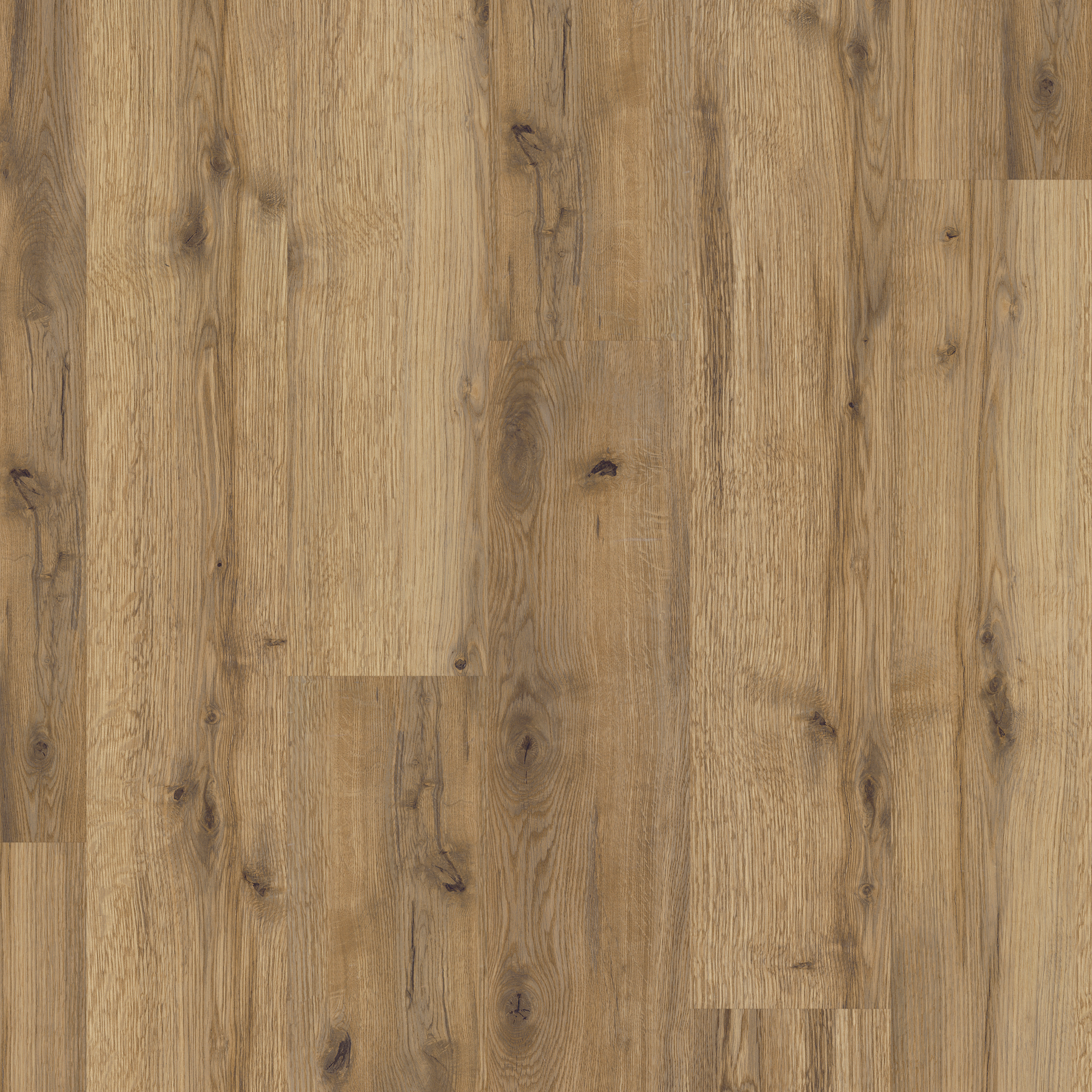 LVT Everglade Oak swatch