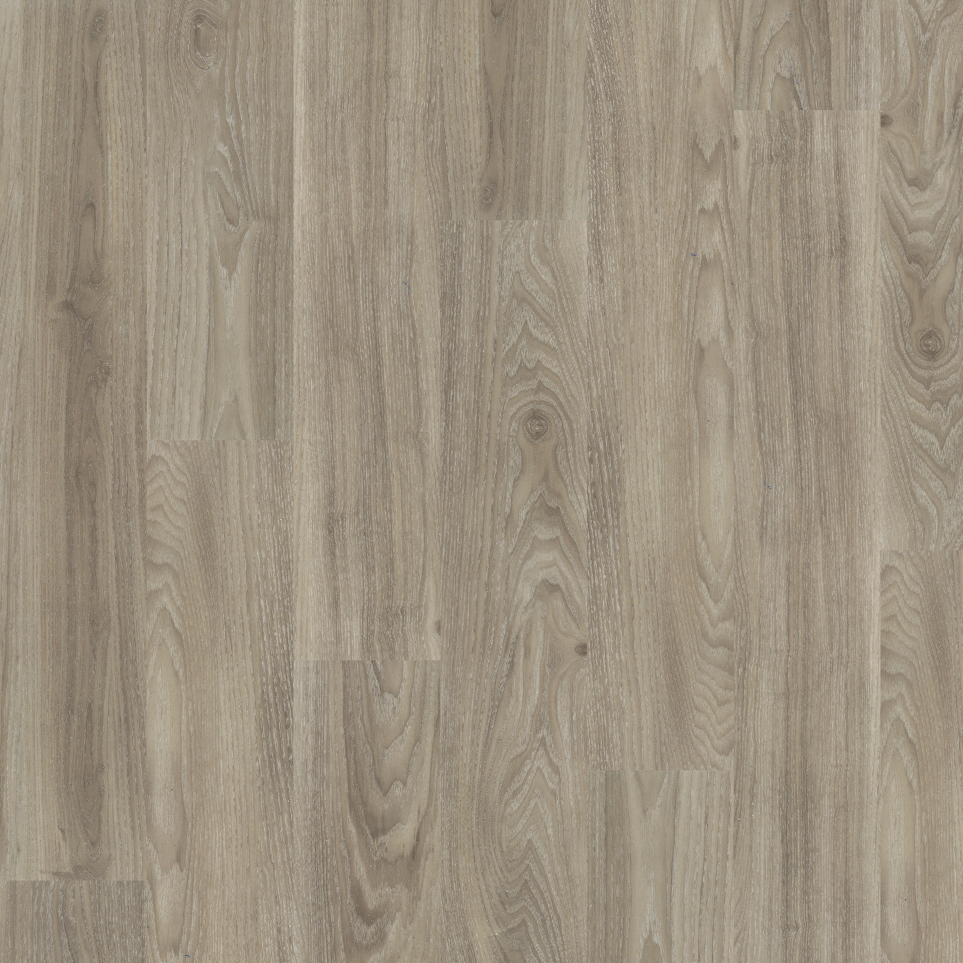 LVT Light Elm swatch