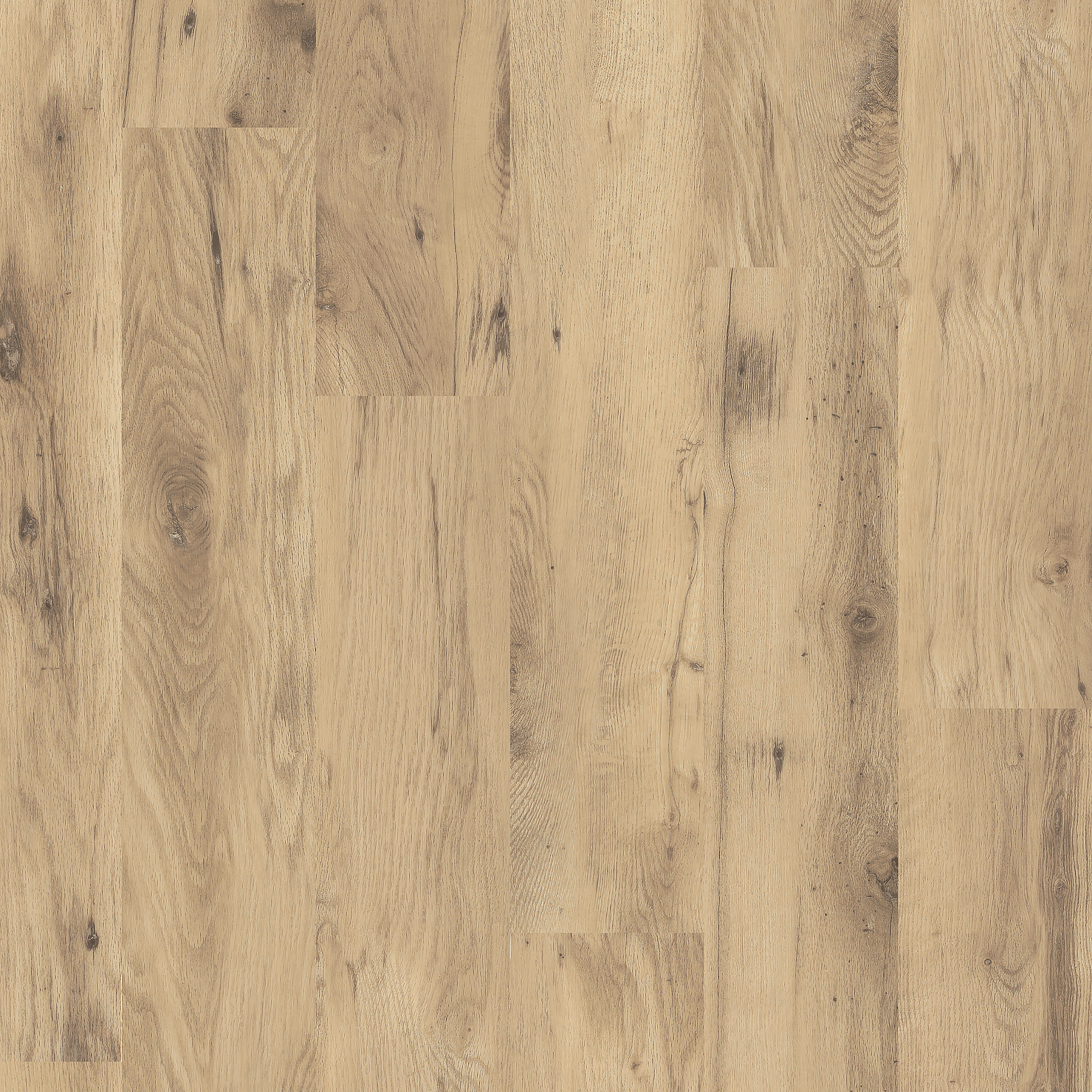 LVT Natural Wild Oak swatch
