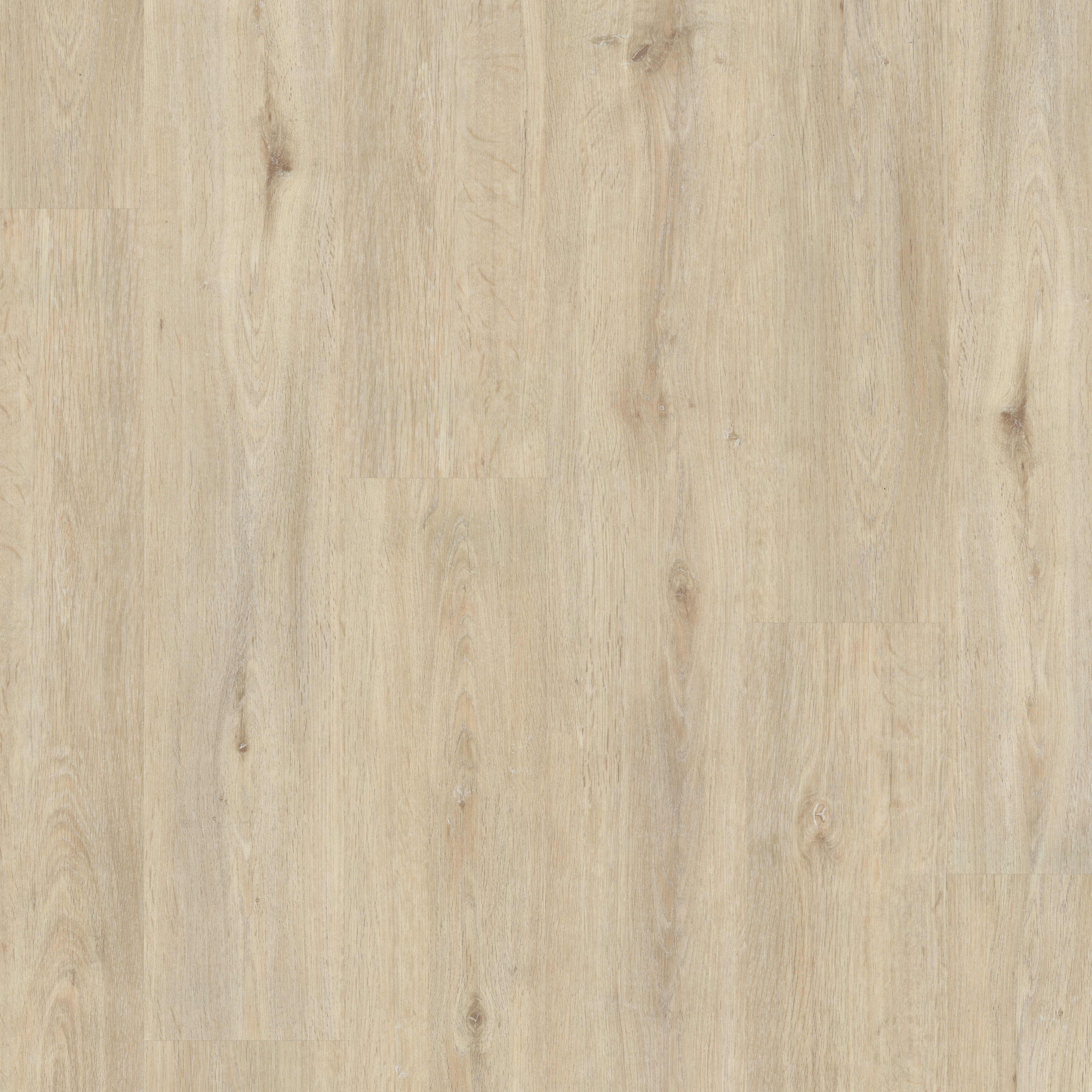 LVT Country Elm swatch