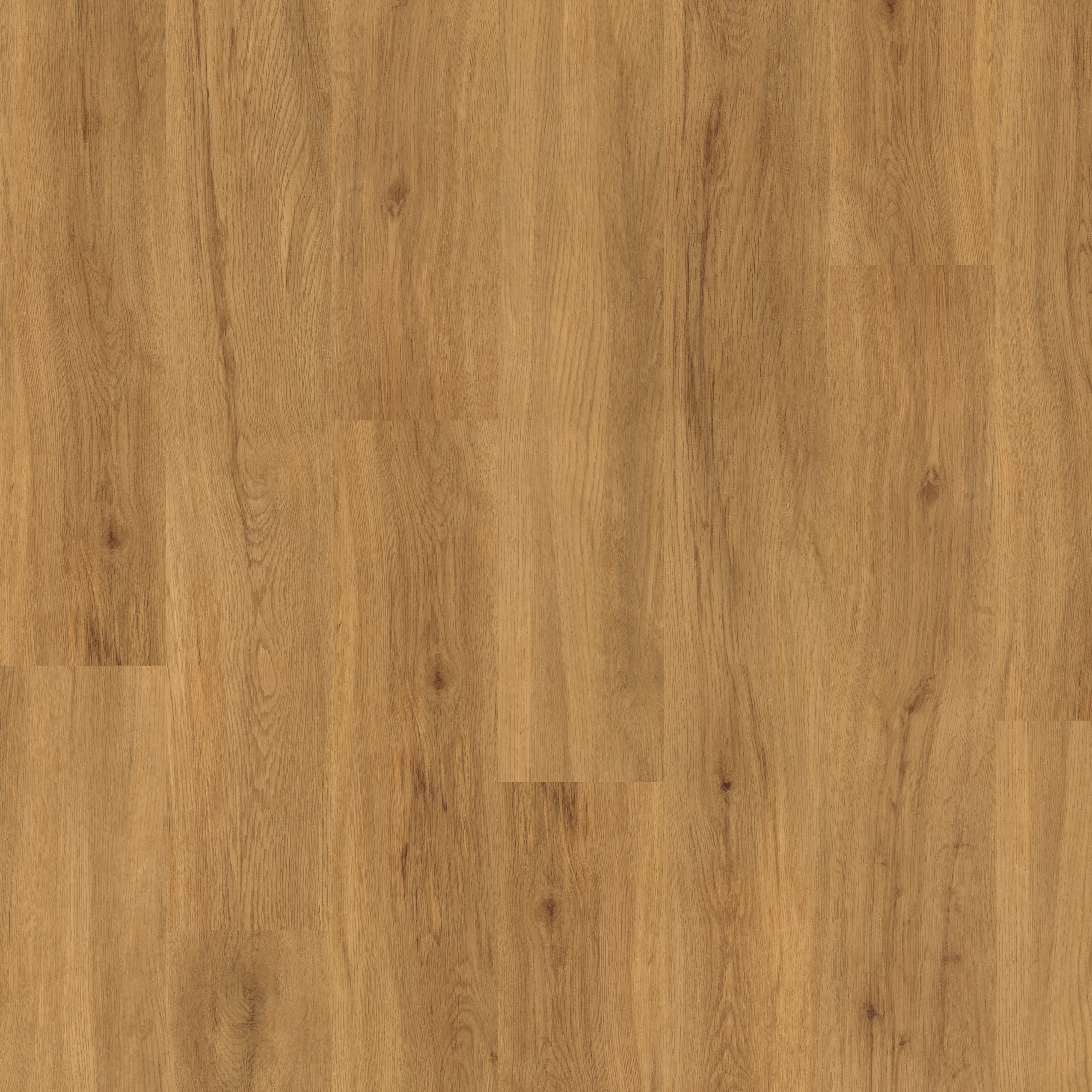 LVT Schoolhouse Oak swatch