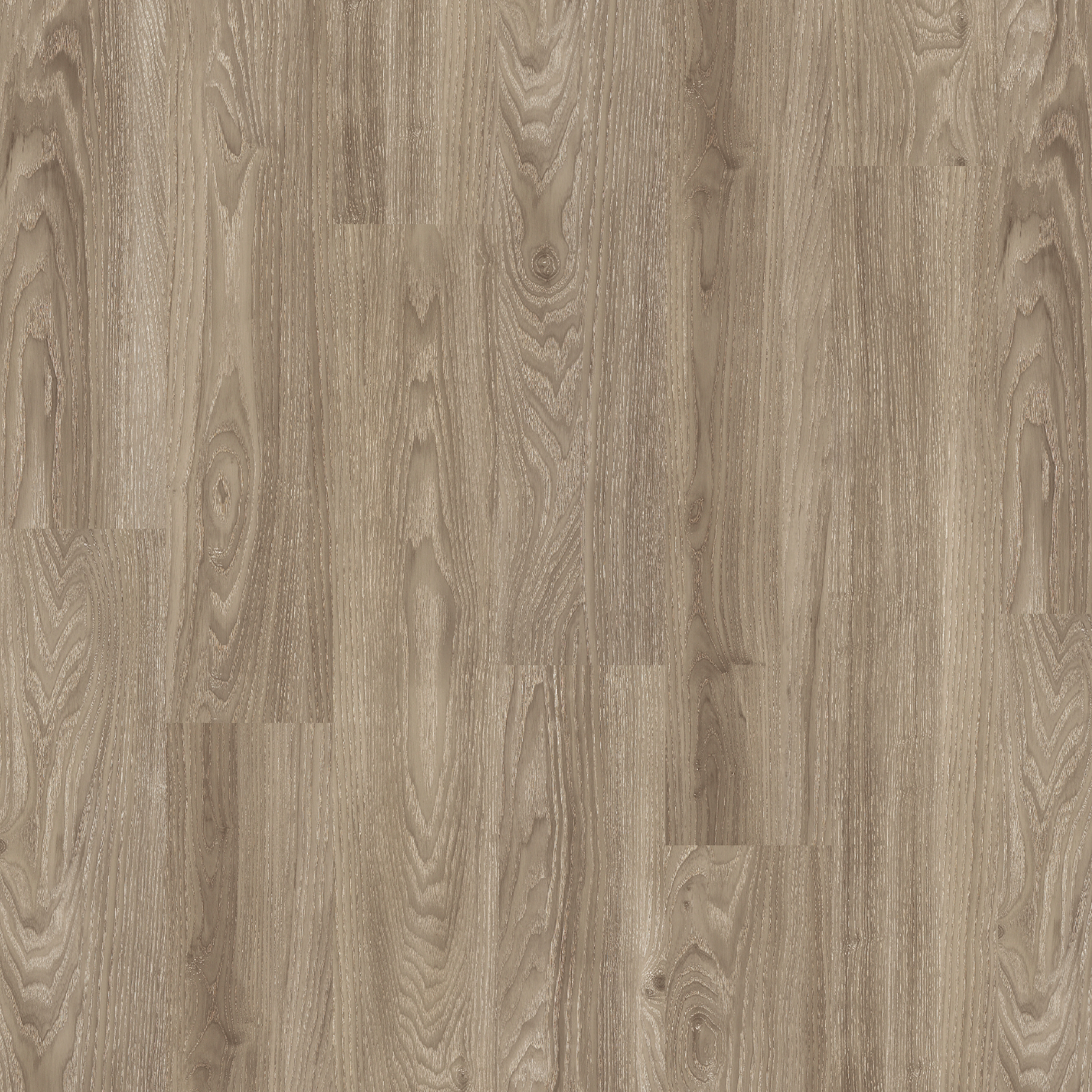 LVT Light Elm swatch