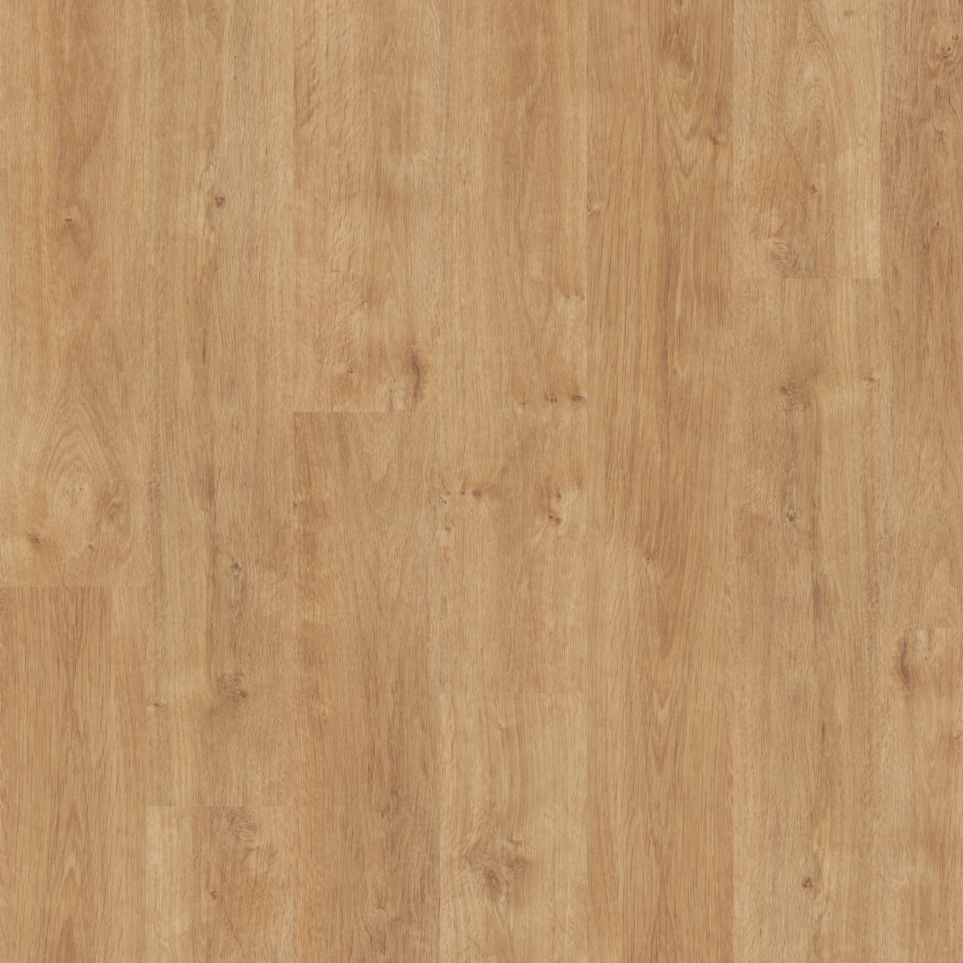 LVT Light Classic Oak swatch