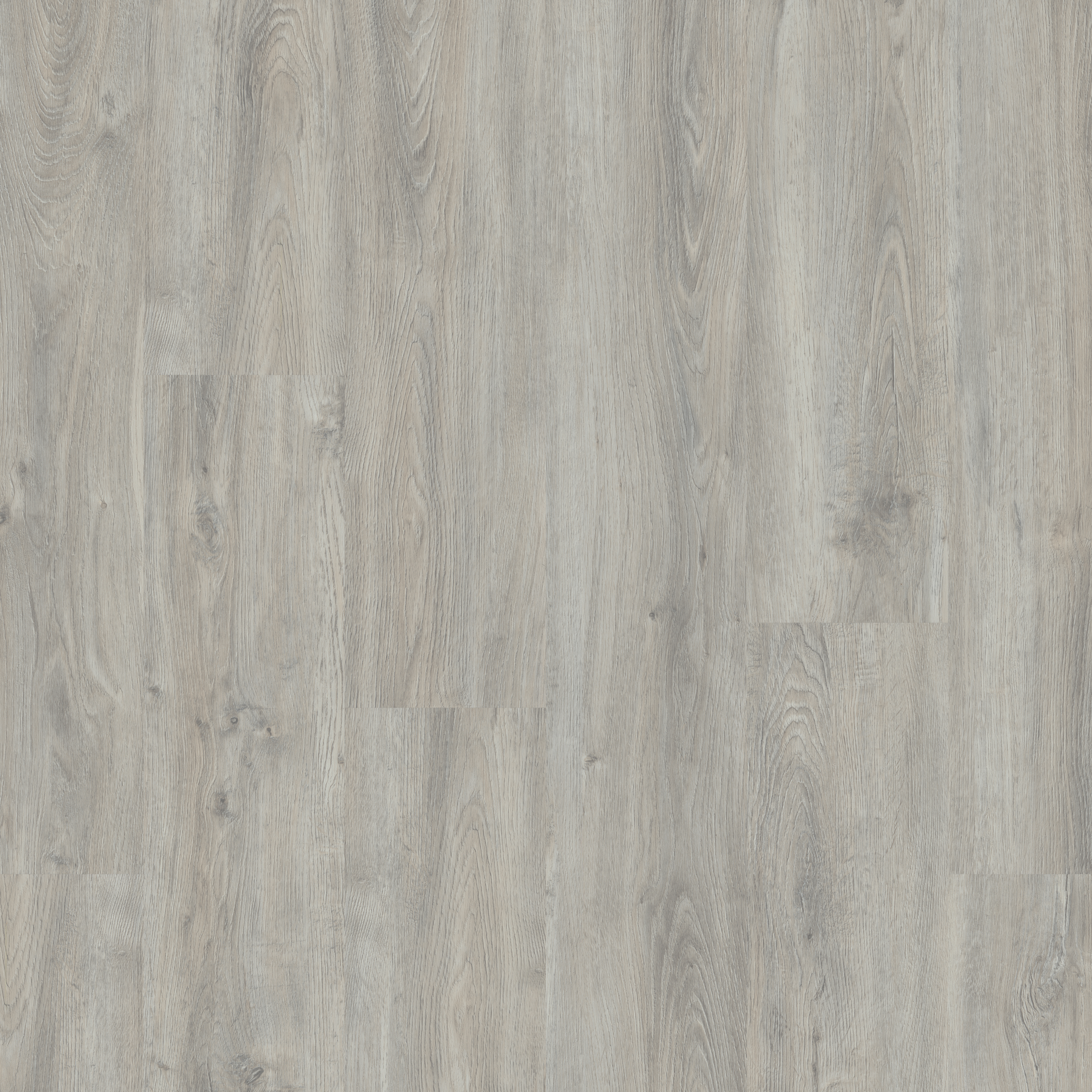 LVT Ashen Oak swatch