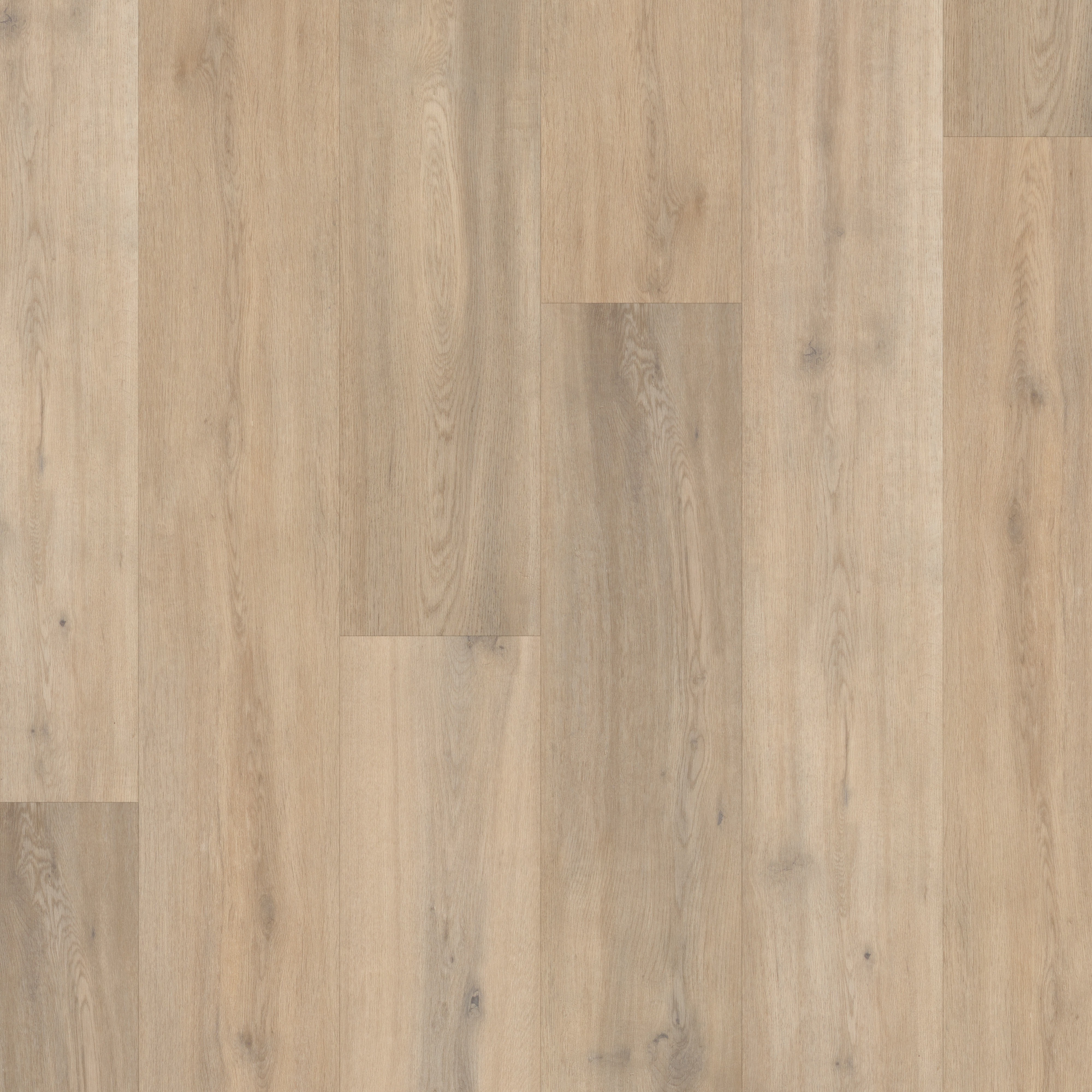 LVT Naked Blond Oak  swatch