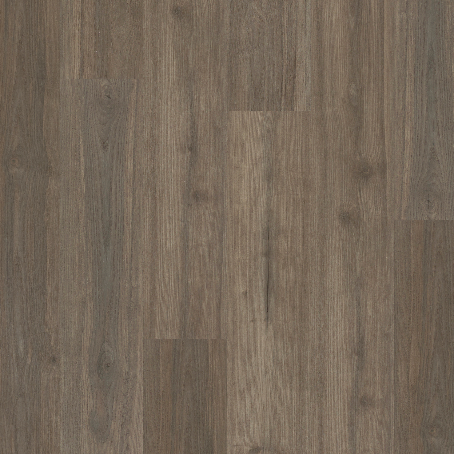 LVT Malvern Oak swatch