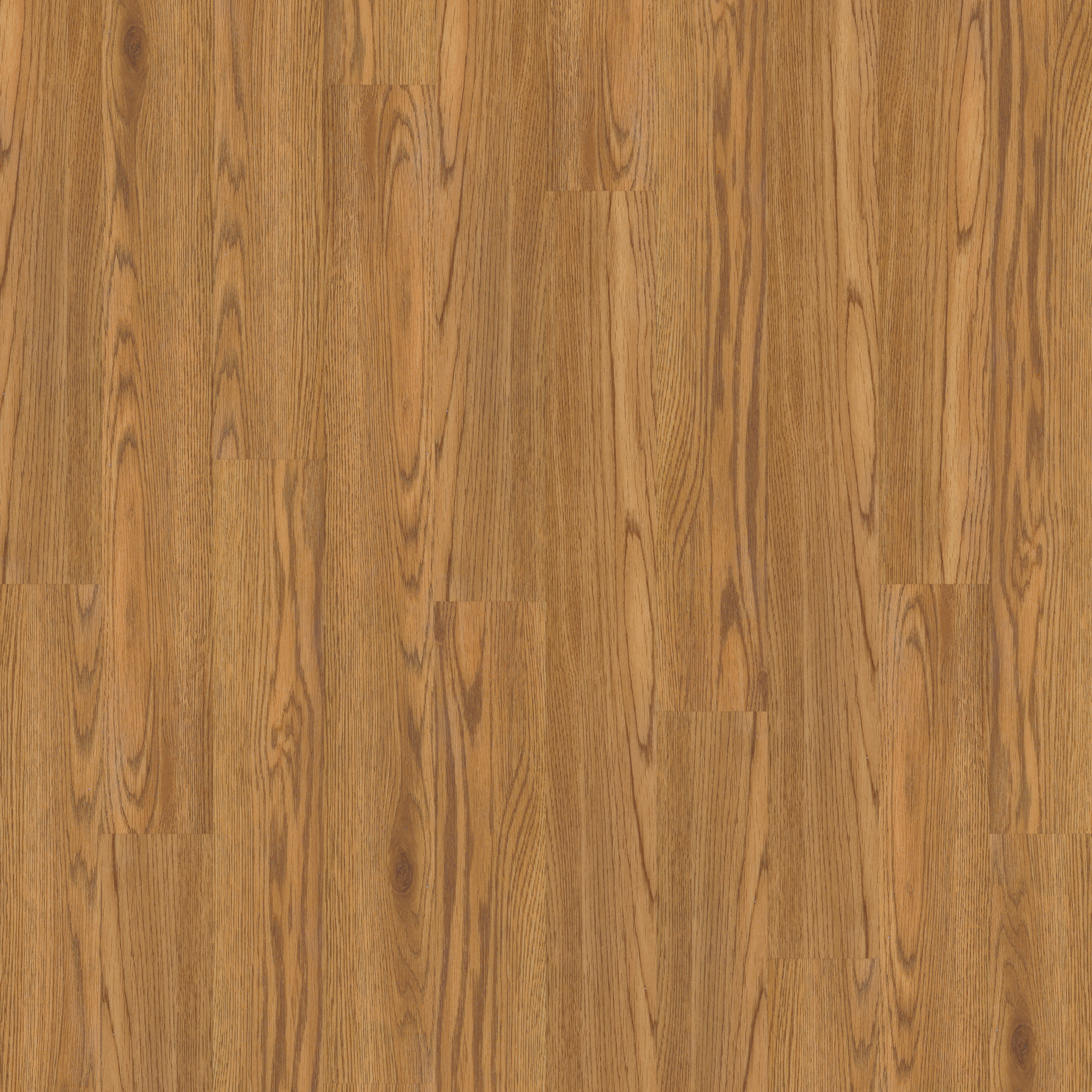 LVT Oak swatch