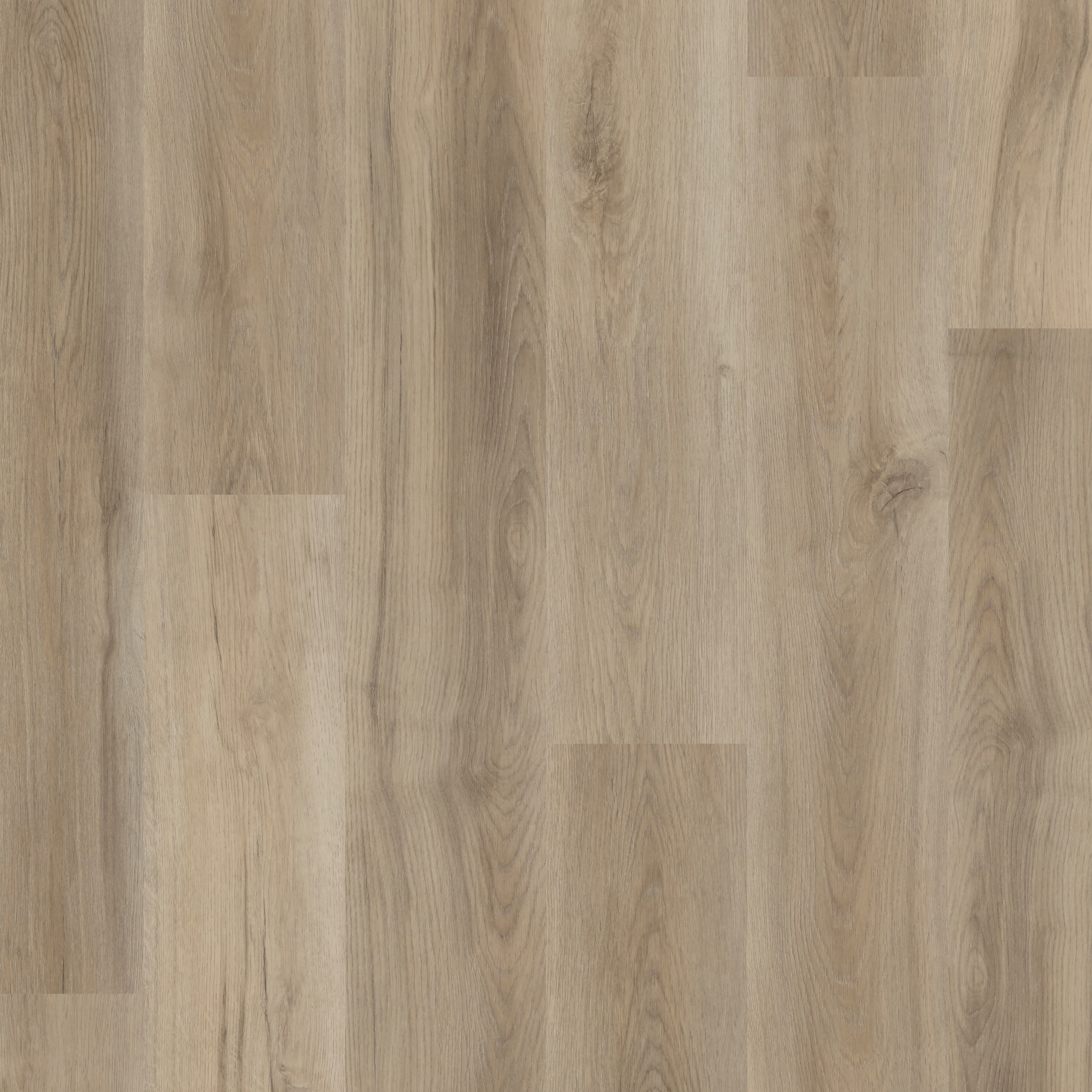 LVT Natural Bare Oak  swatch