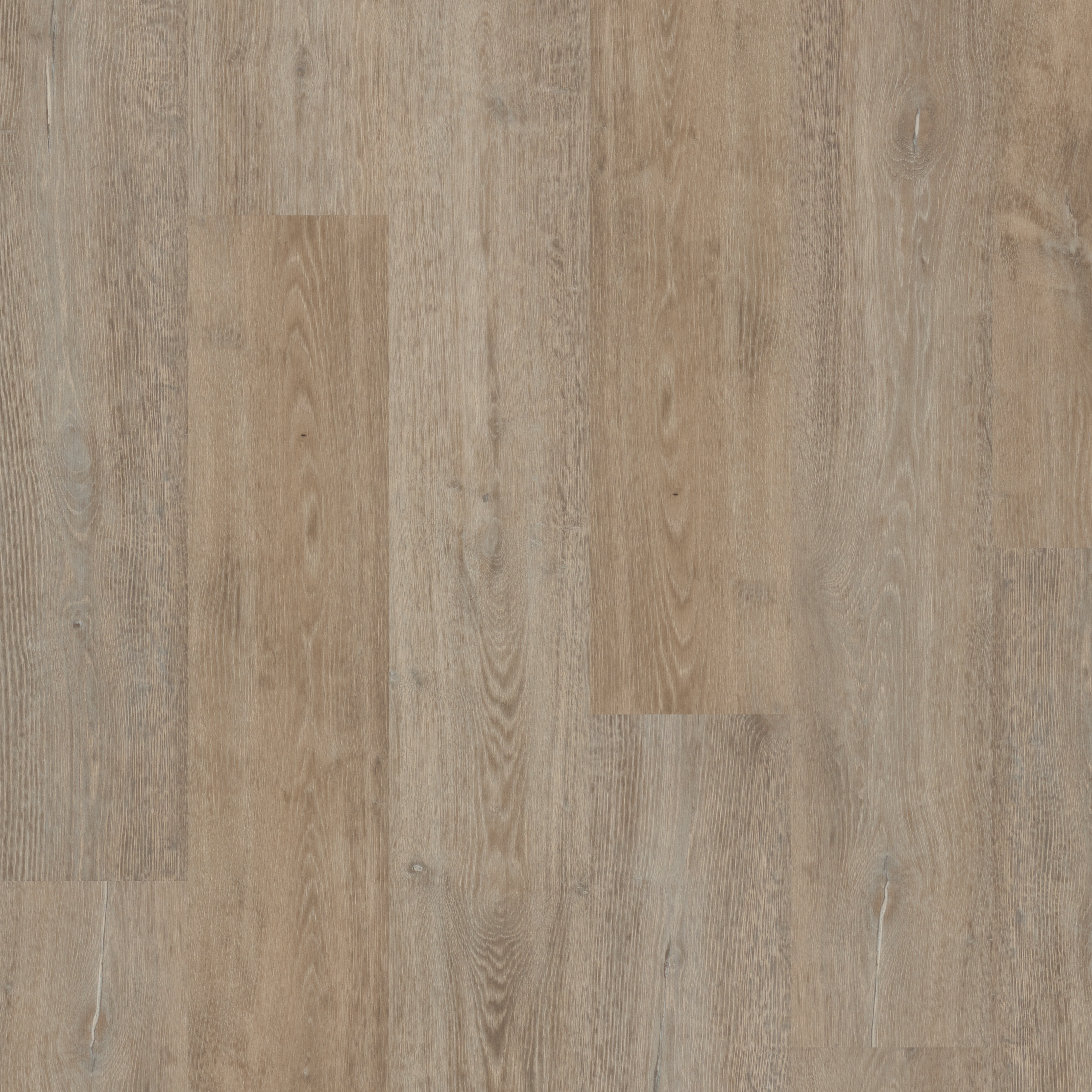 LVT Fenland Oak  swatch