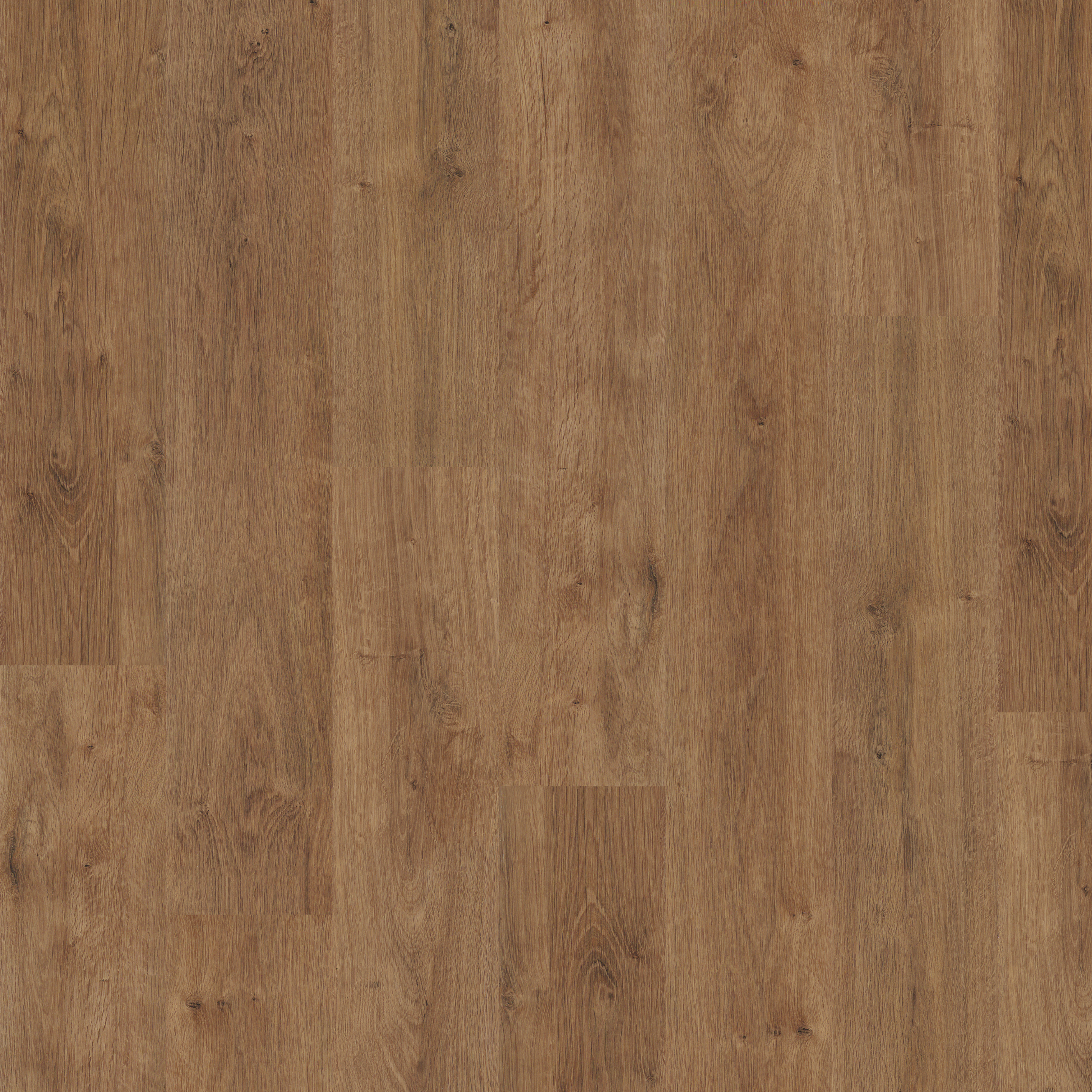 LVT Amber Classic Oak swatch