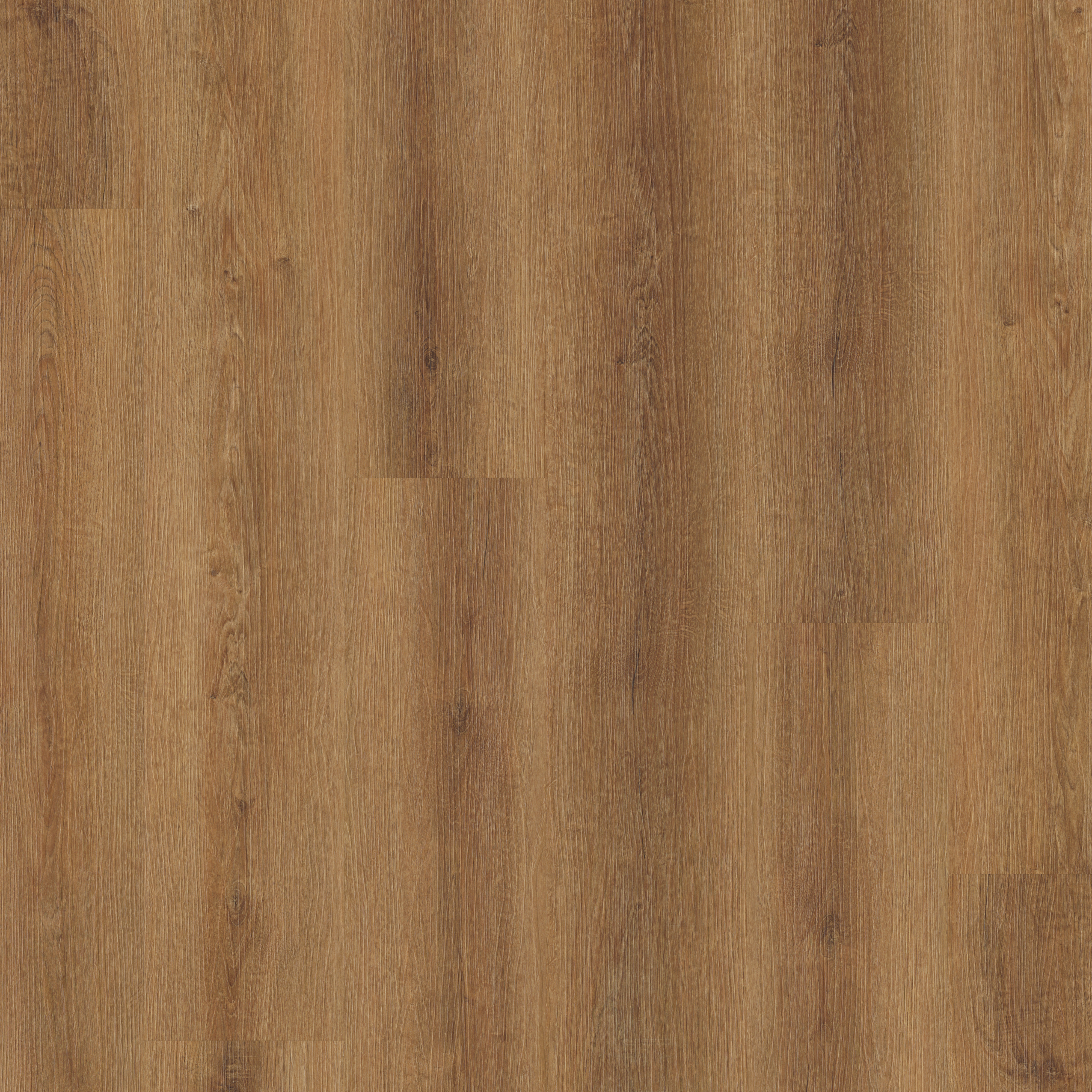 LVT Maldon Oak swatch